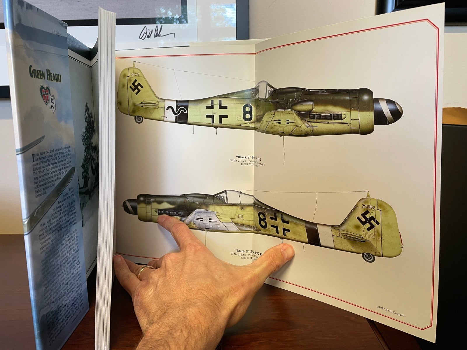 Green Hearts Dora 9 JG 54 & 26 Luftwaffe WWII SIGNED!!!!!