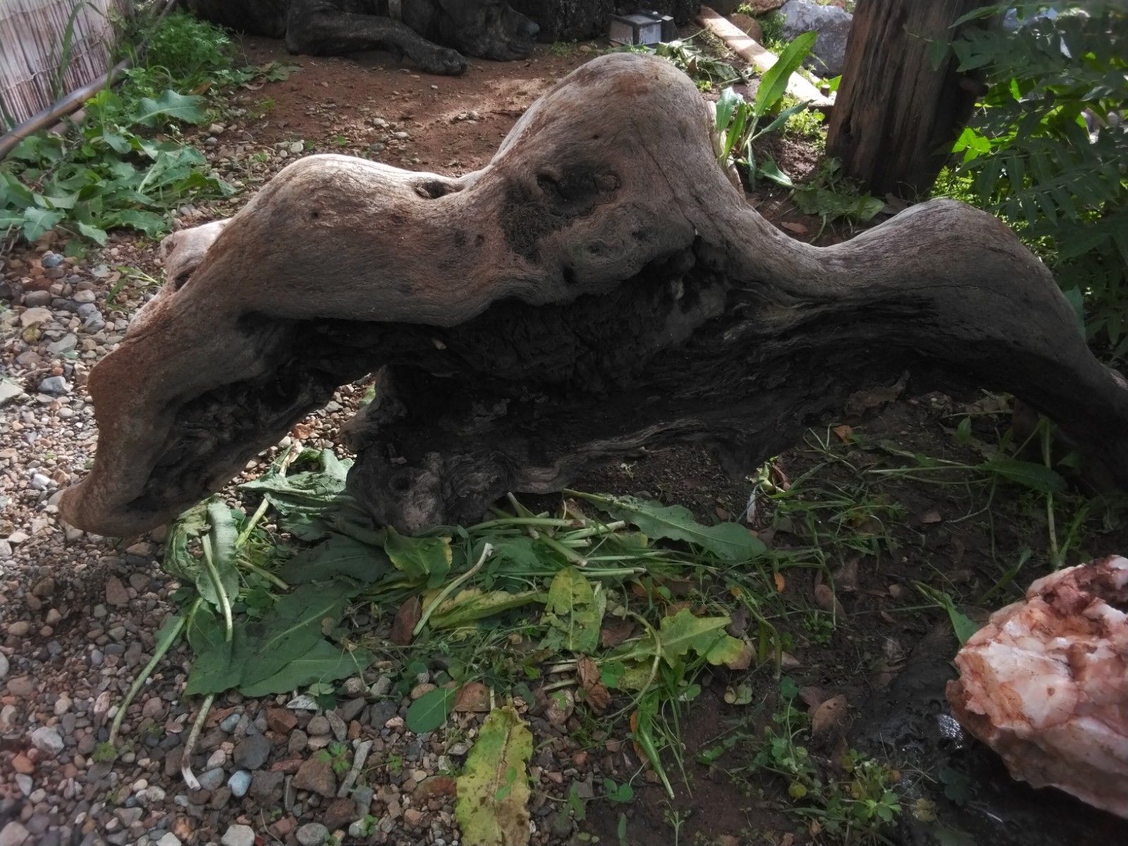 DrRIFTWOOD, LANDSCAPING, ART, AMAZING