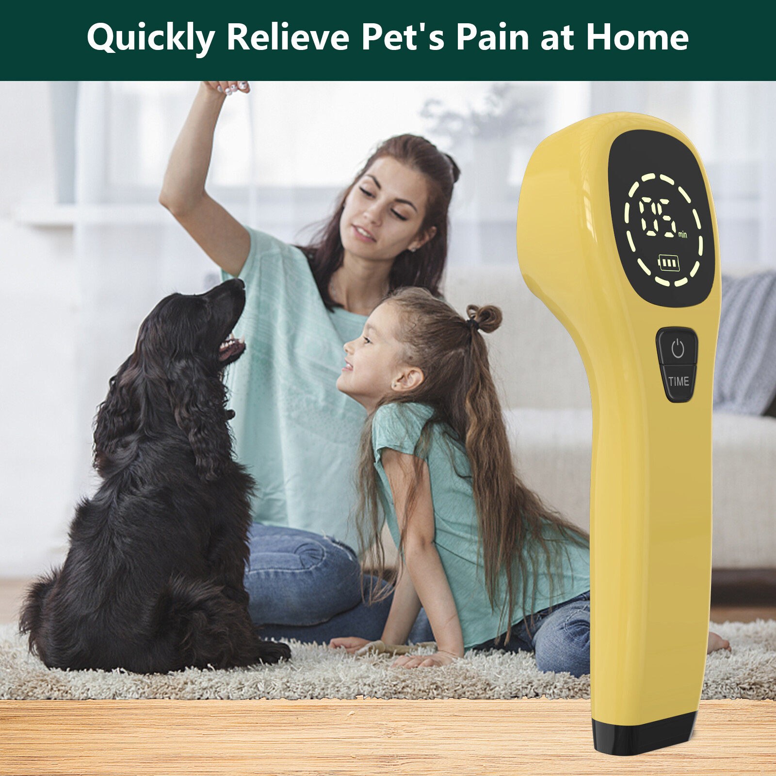 Vet Soft Laser Therapy device For Pet Cat Dog Horse Pain Relief 650 / 808 nm NIR