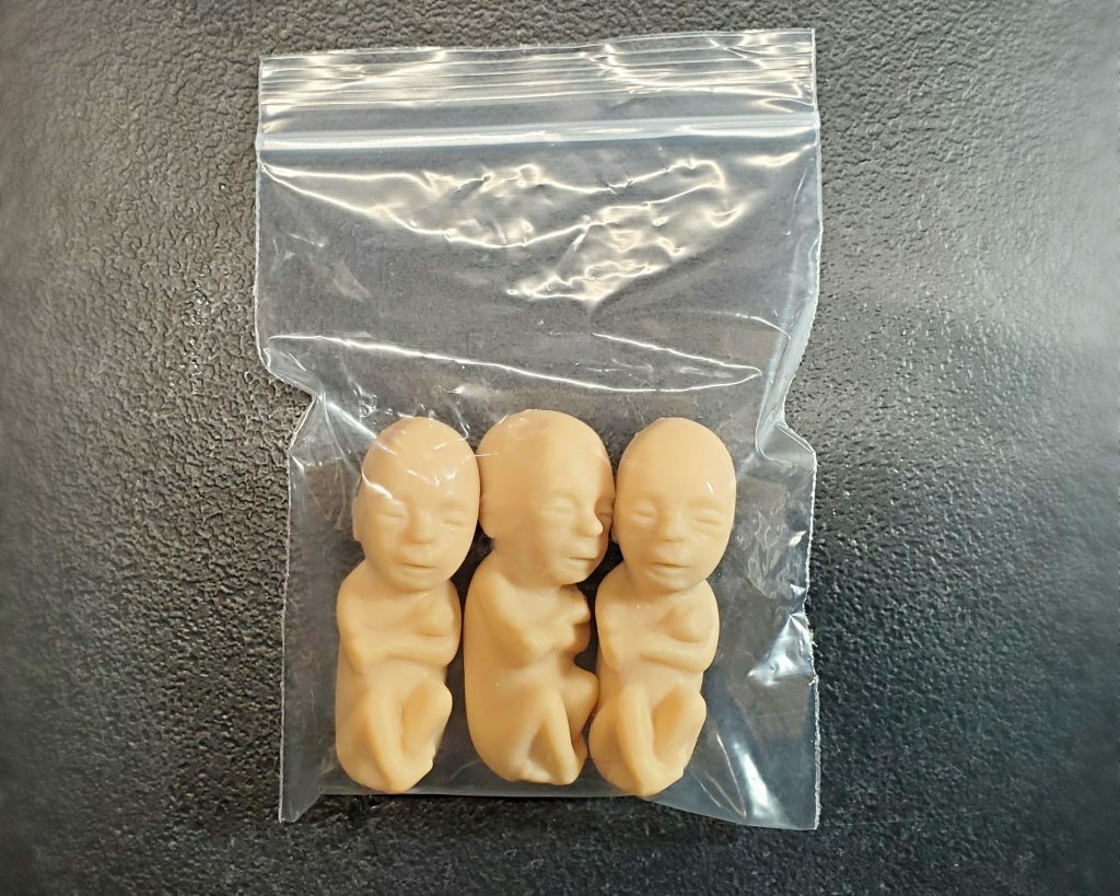 3 Rubber Fetus Set, Baby Fetal Model, Weird, Medical, Oddities, Curiosities
