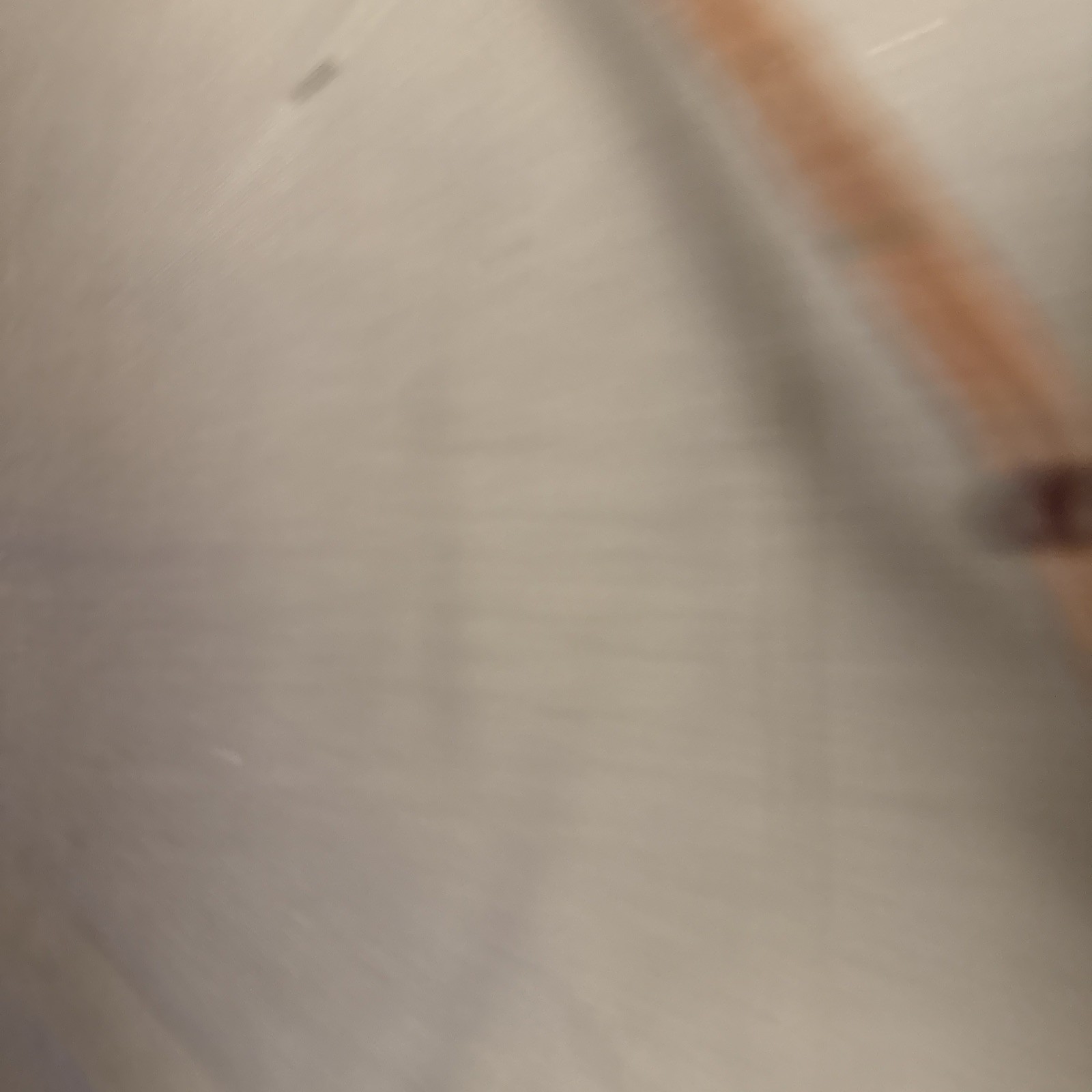 Powder Horn 10" Black/White Historical Musket Reenactors Replica + Leather Sling