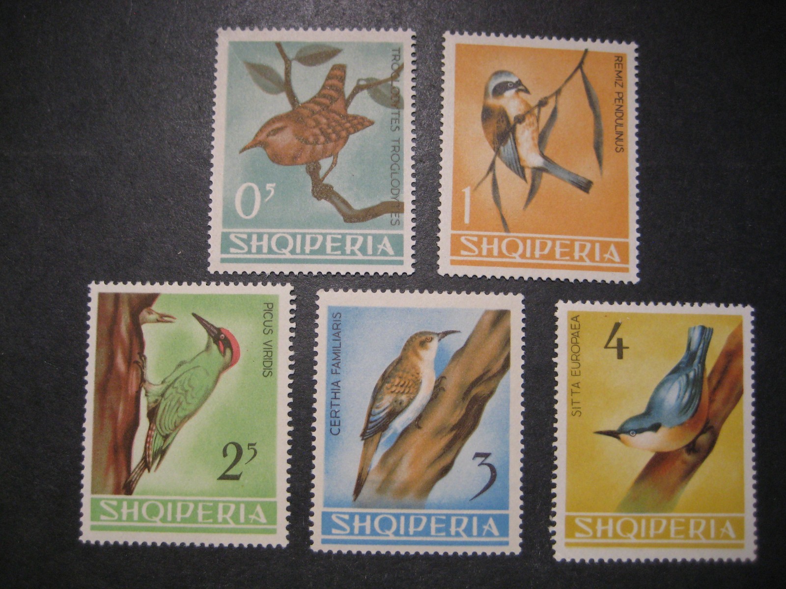 Albania #746-50 Mint Hinged WDWPhilatelic (K7V)  (2/26)