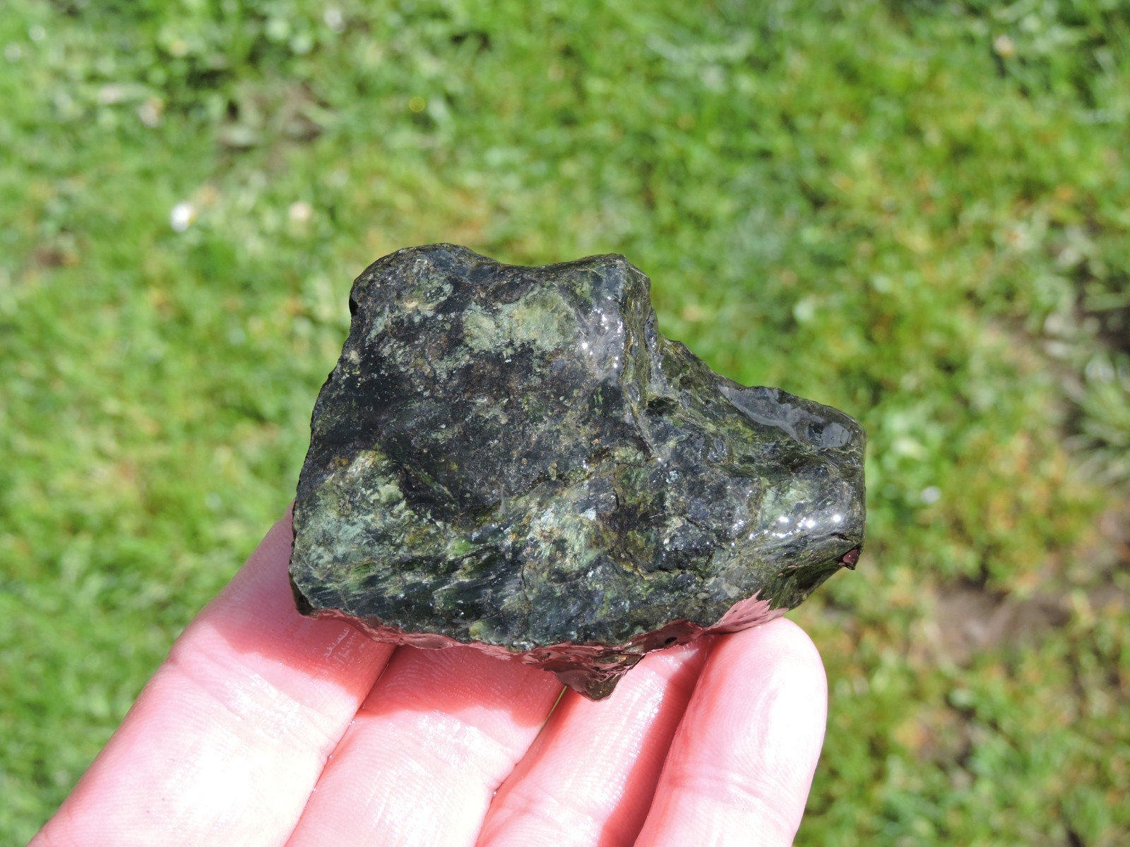 OREGON DARK GREEN SERPENTINE Rough Stones. *MAGNETIC* 100% Natural (8 lb)