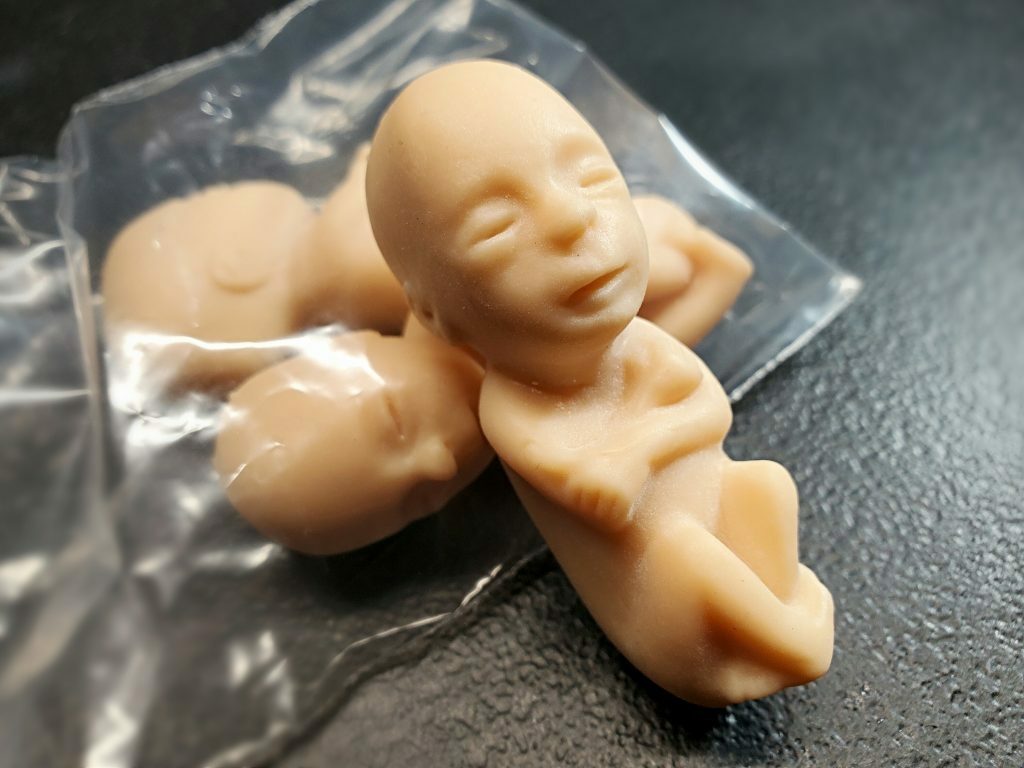 3 Rubber Fetus Set, Baby Fetal Model, Weird, Medical, Oddities, Curiosities