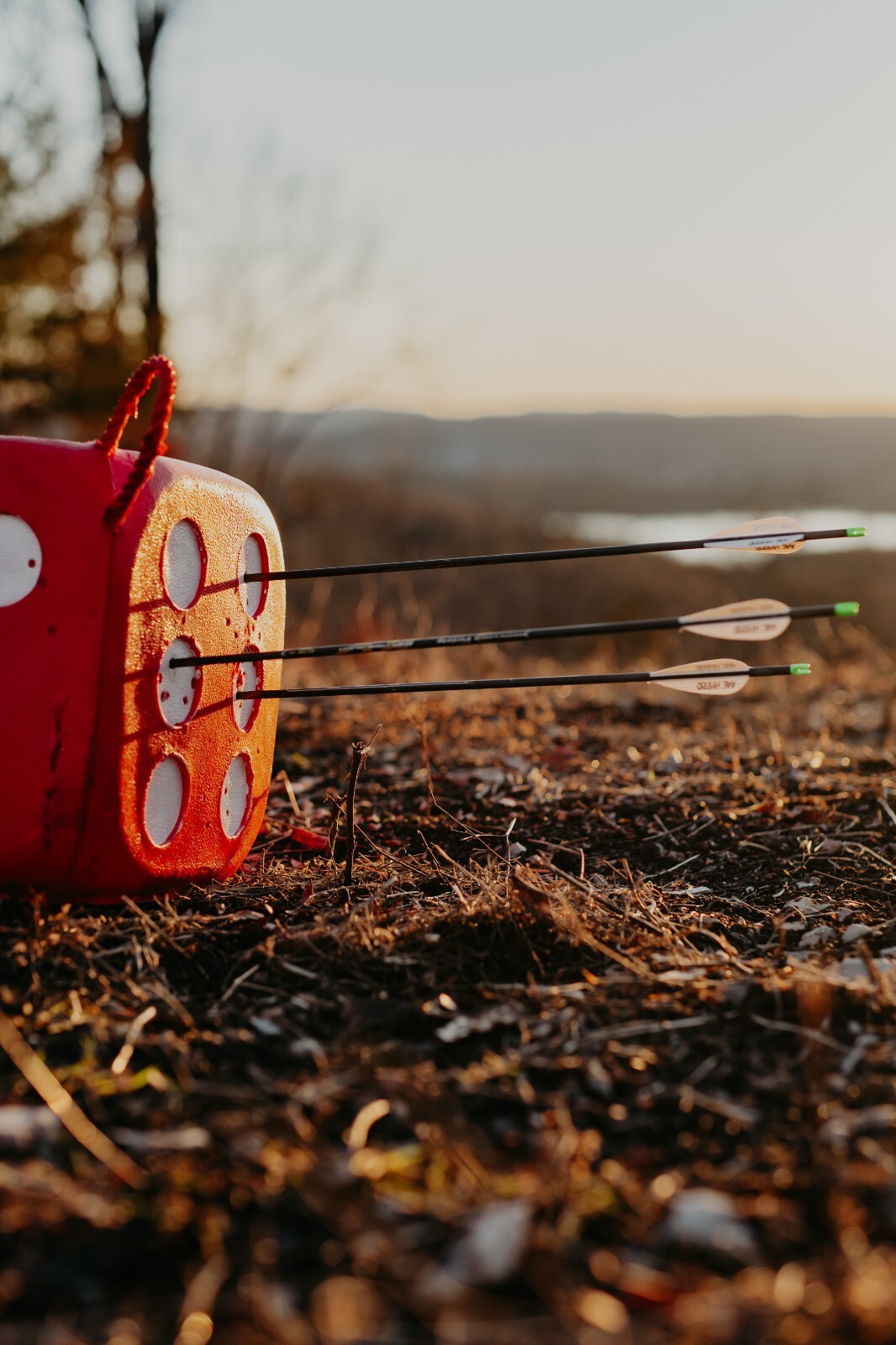 Morrell High Roller Archery Target