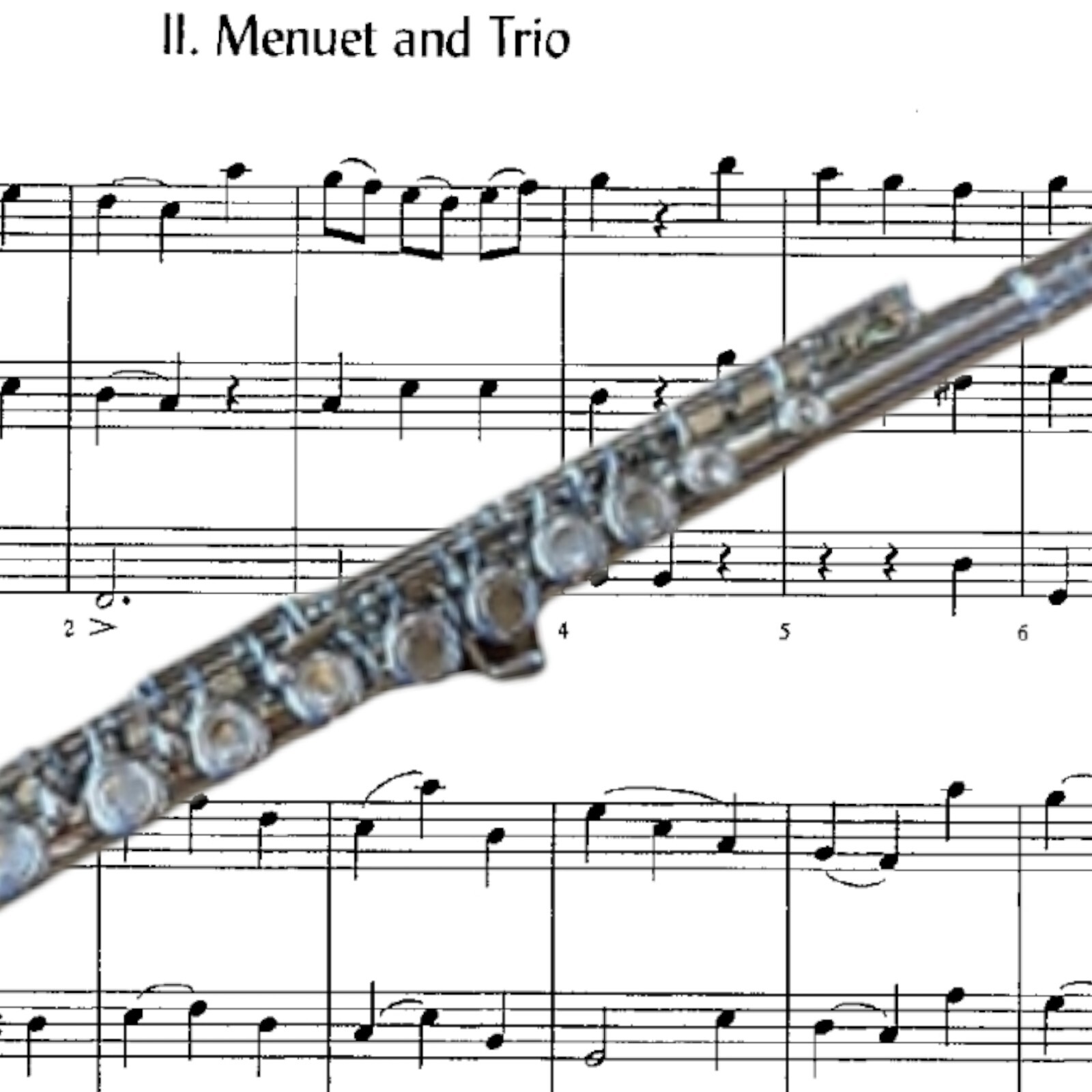 BRAND NEW PRO MARCHING BAND STUDENT/INTERMEDIATE SILVER CONCERT FLUTE-KEY OF C