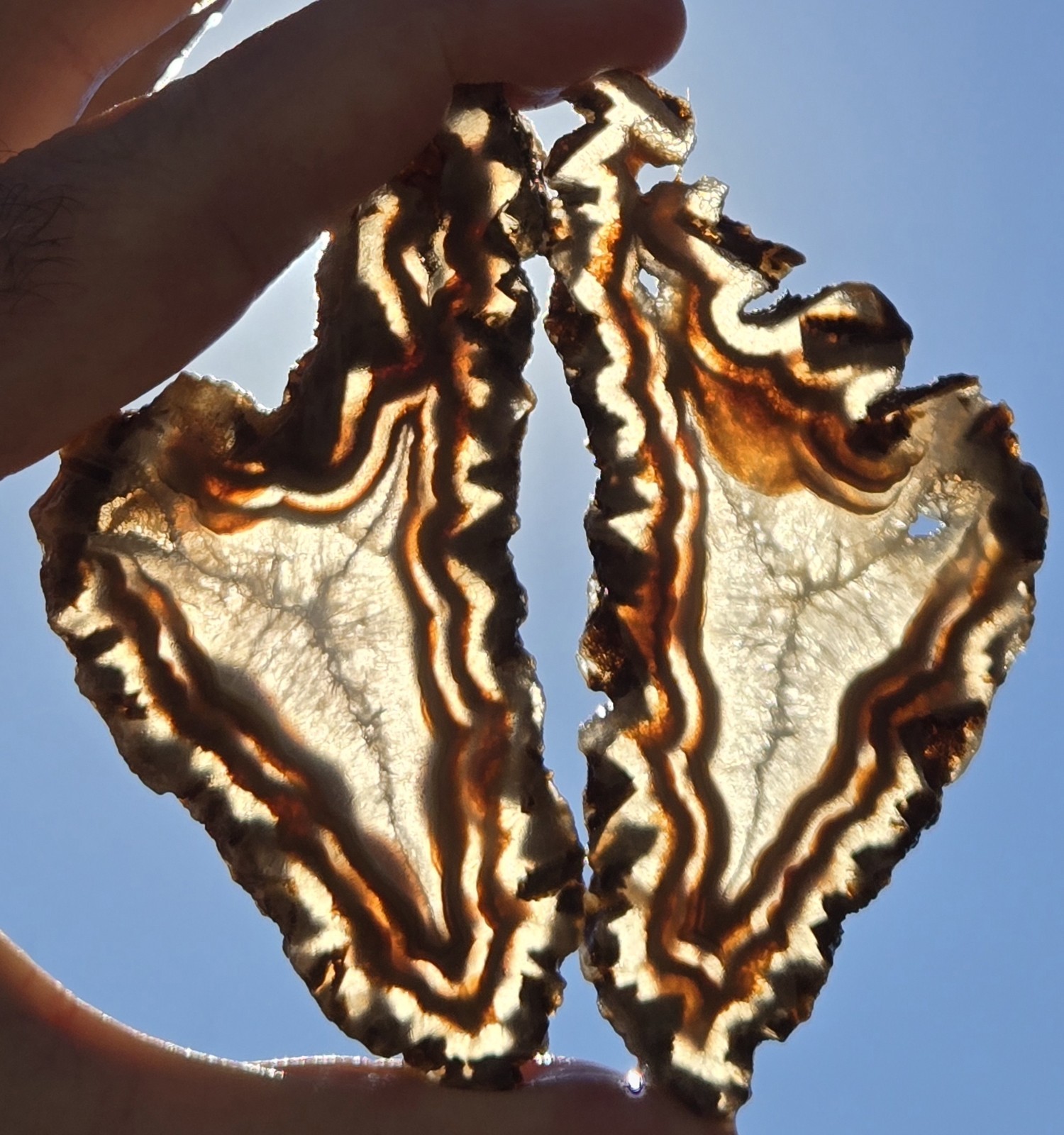 Turkish Agate Slabs Slices From One Stone Matching Lapidary Unique