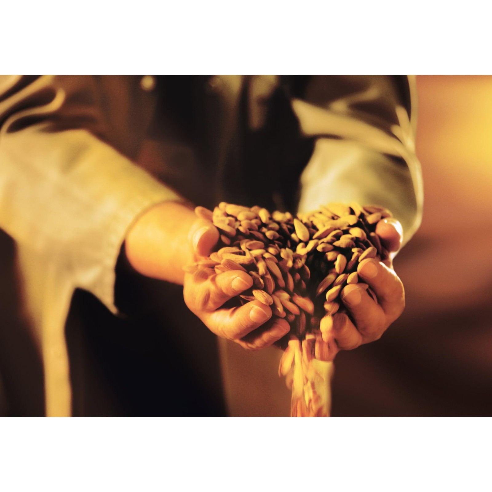 Niederegger Marzipan Potatoes - 100g (3.5oz) | 12 3.5 Ounce (Pack of 1)