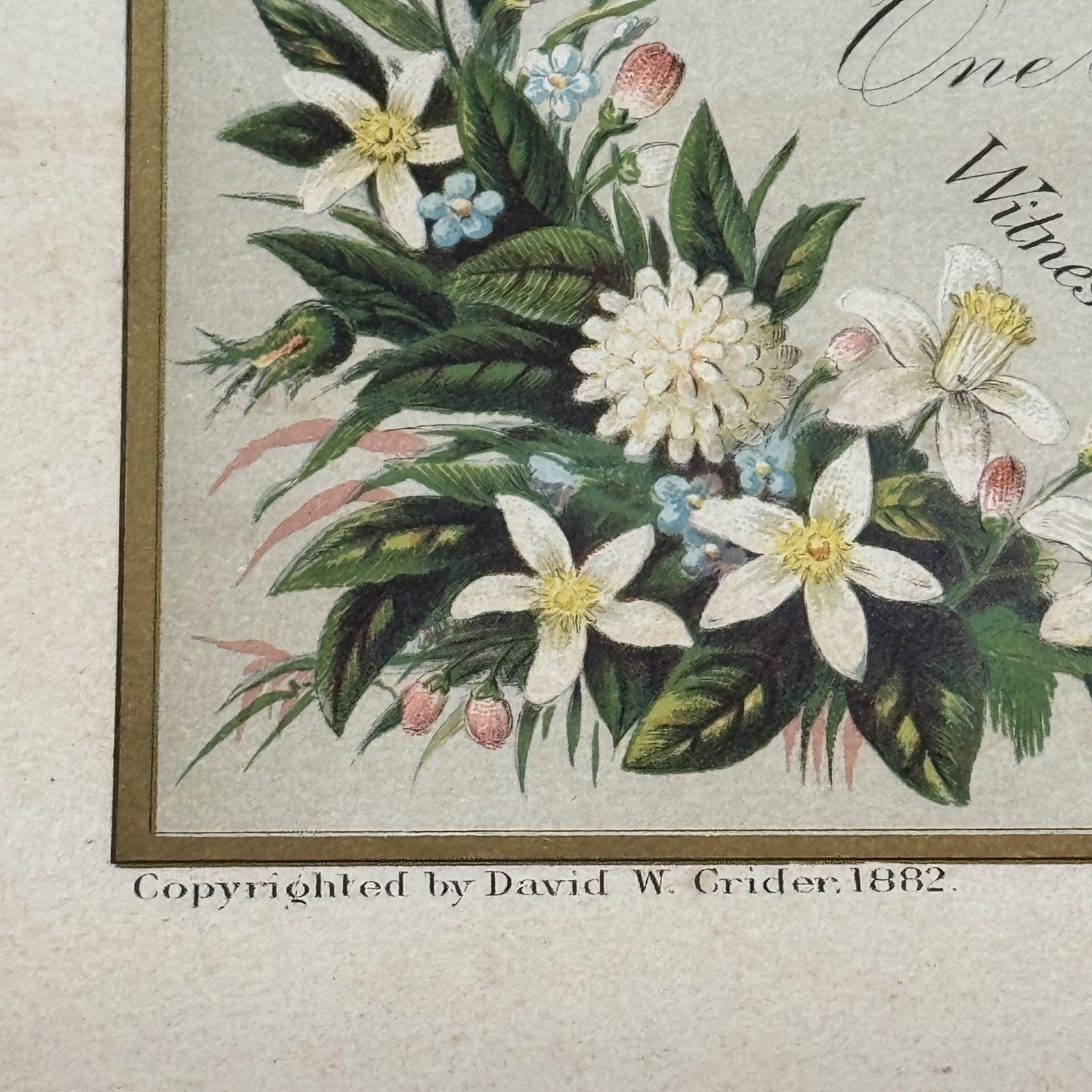 Antique 1882 Crider & Brother Holy Matrimony Marriage Wedding Certificate 15x20