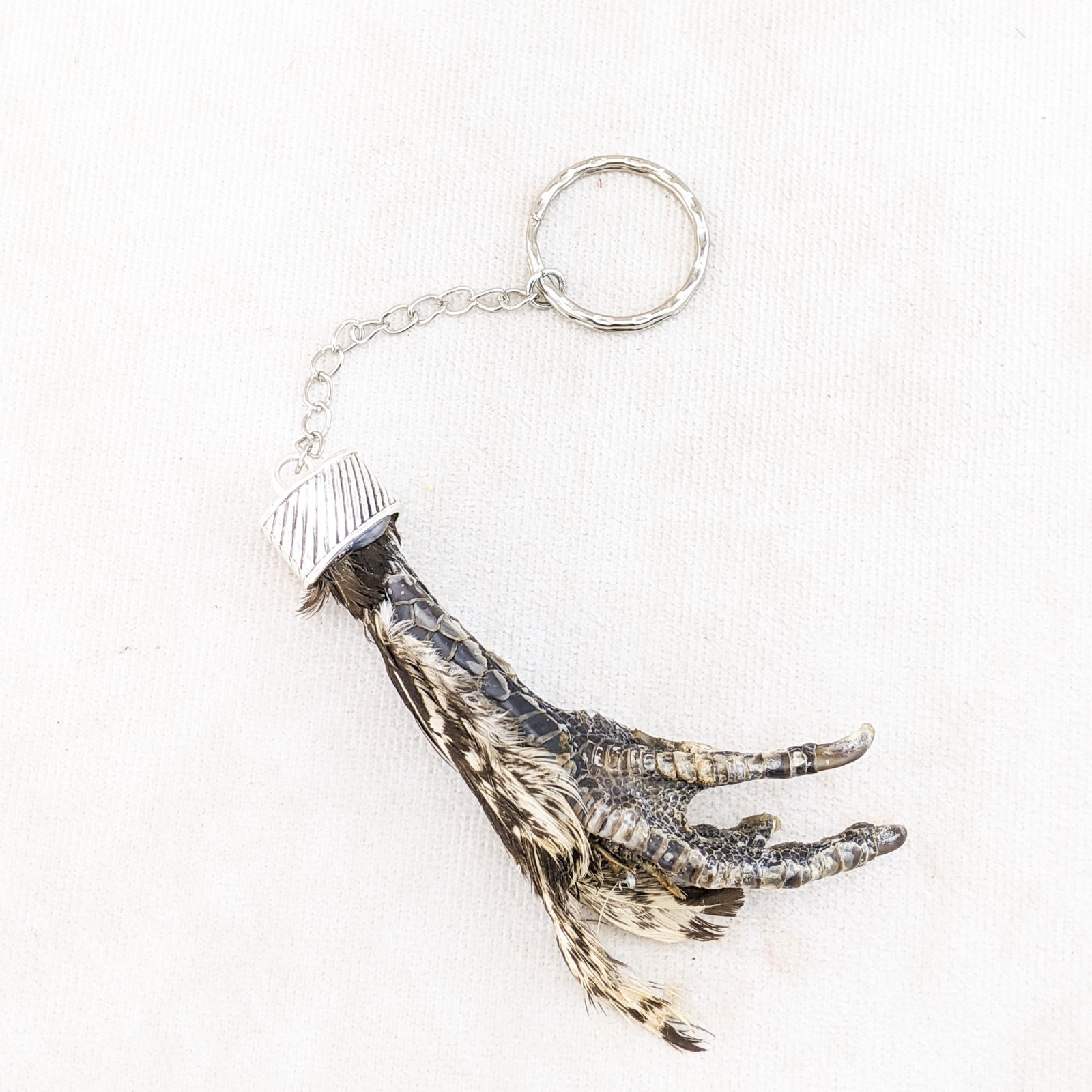 Real Chicken Foot Key Chain talisman voodoo pirate Taxidermy gift costume prop