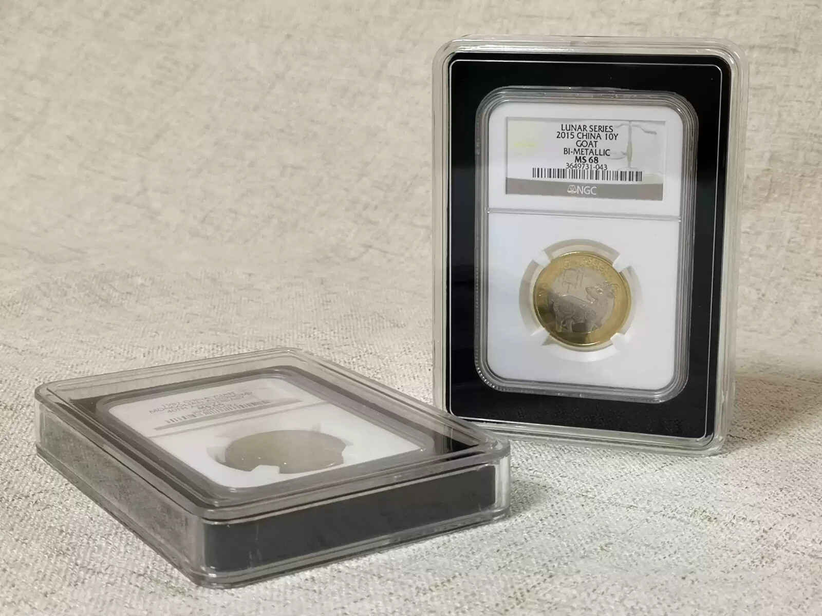 12 Protective Display Case in Plastic Storage Box For NGC / PCGS Slab Holder