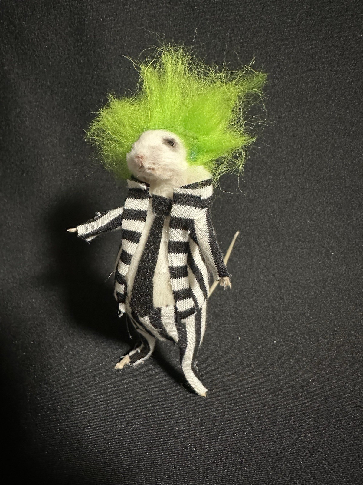 Taxidermy Mouse Beetlejuice Mouse Oddities Curiosities Taxidermy Art