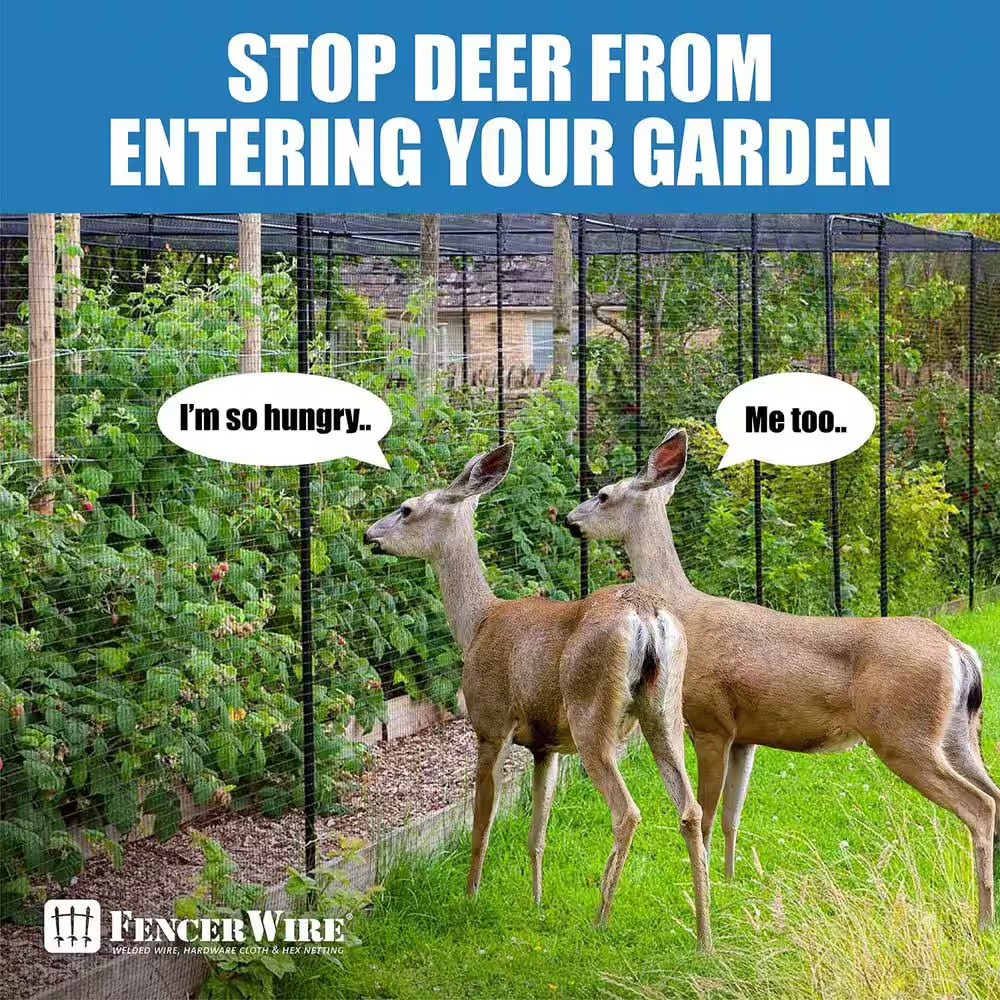 7 Ft. X 100 Ft. X 3/4 In. Black Plastic Bird Netting for Vegetable, Tree and Fru