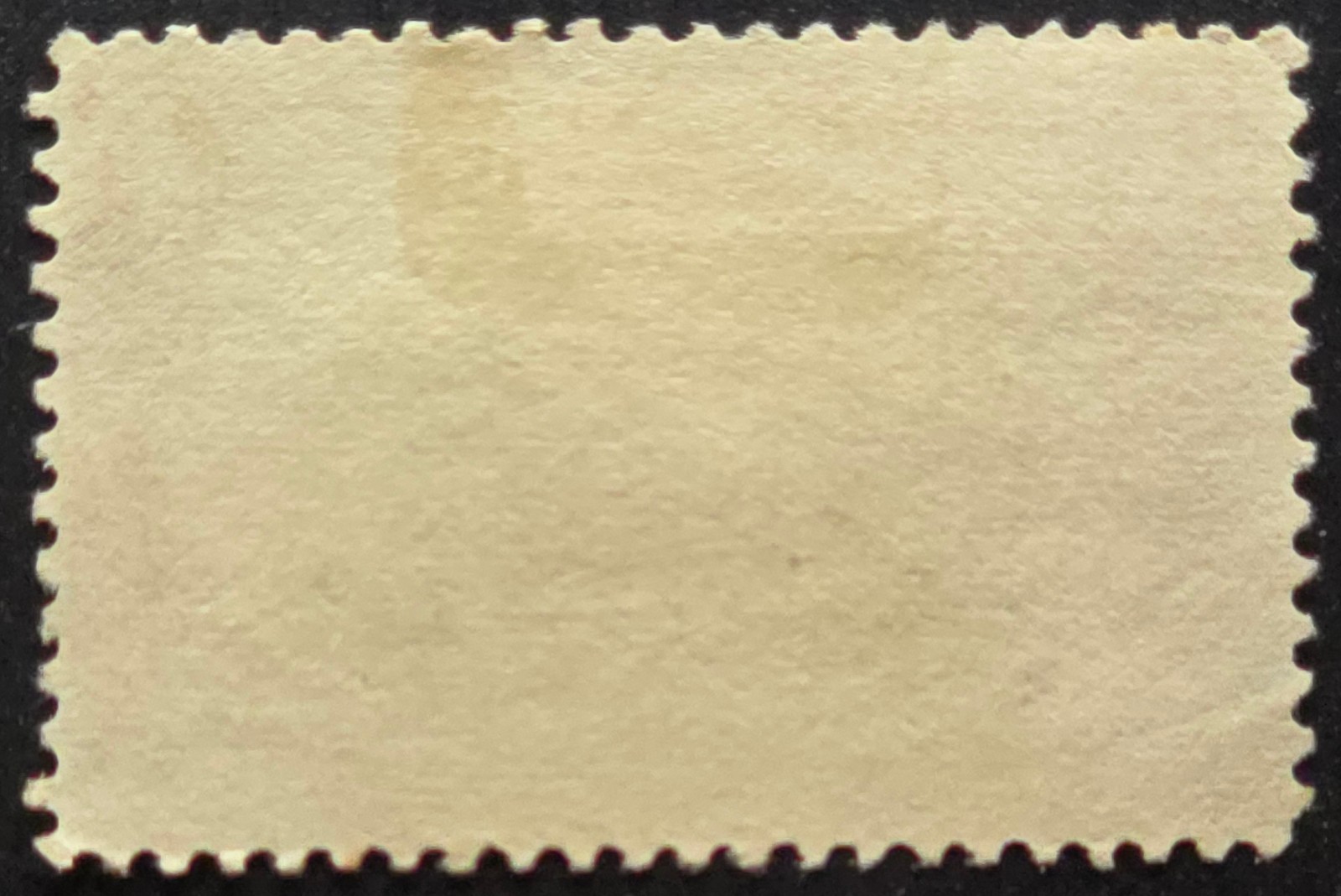 US 1898 4¢ Trans-Mississippi Exposition "Indian Hunting Buffalo" Scott #287