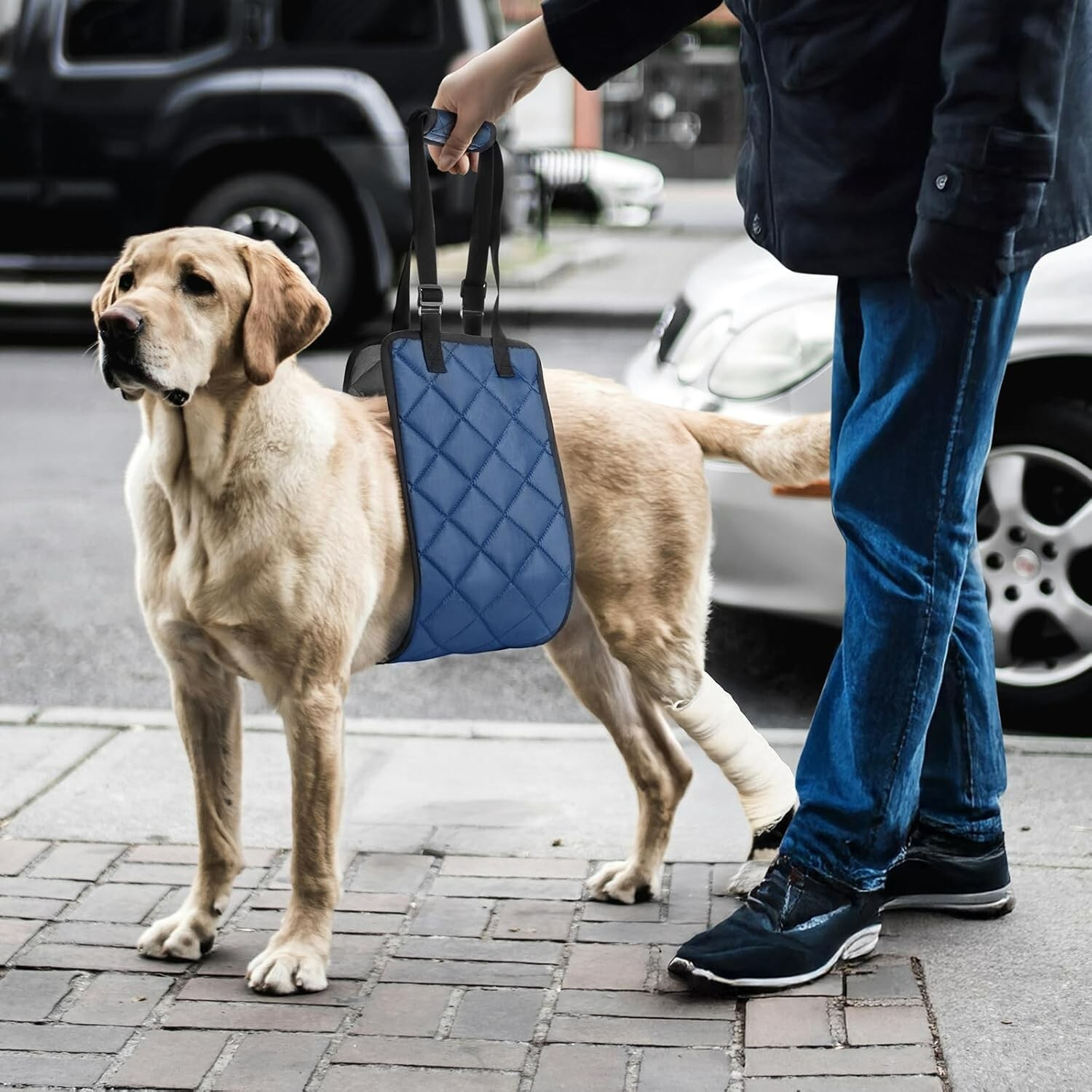 Adjustable Dog Sling Dog Lift Harness for Injured/Disabled/Elderly Dog Portable