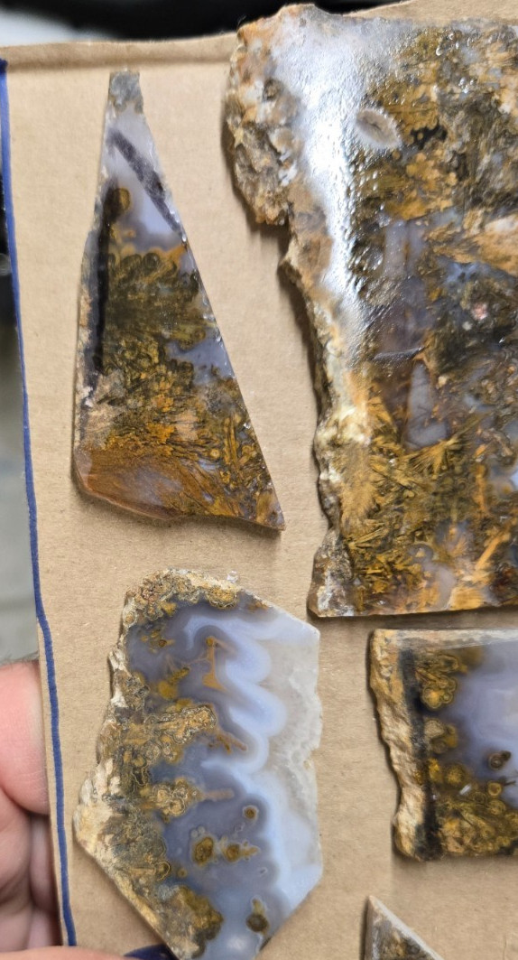Sagenite Plume Agate Cabochon Slabs, Preforms, Slices, 8 Pcs, Flat 35