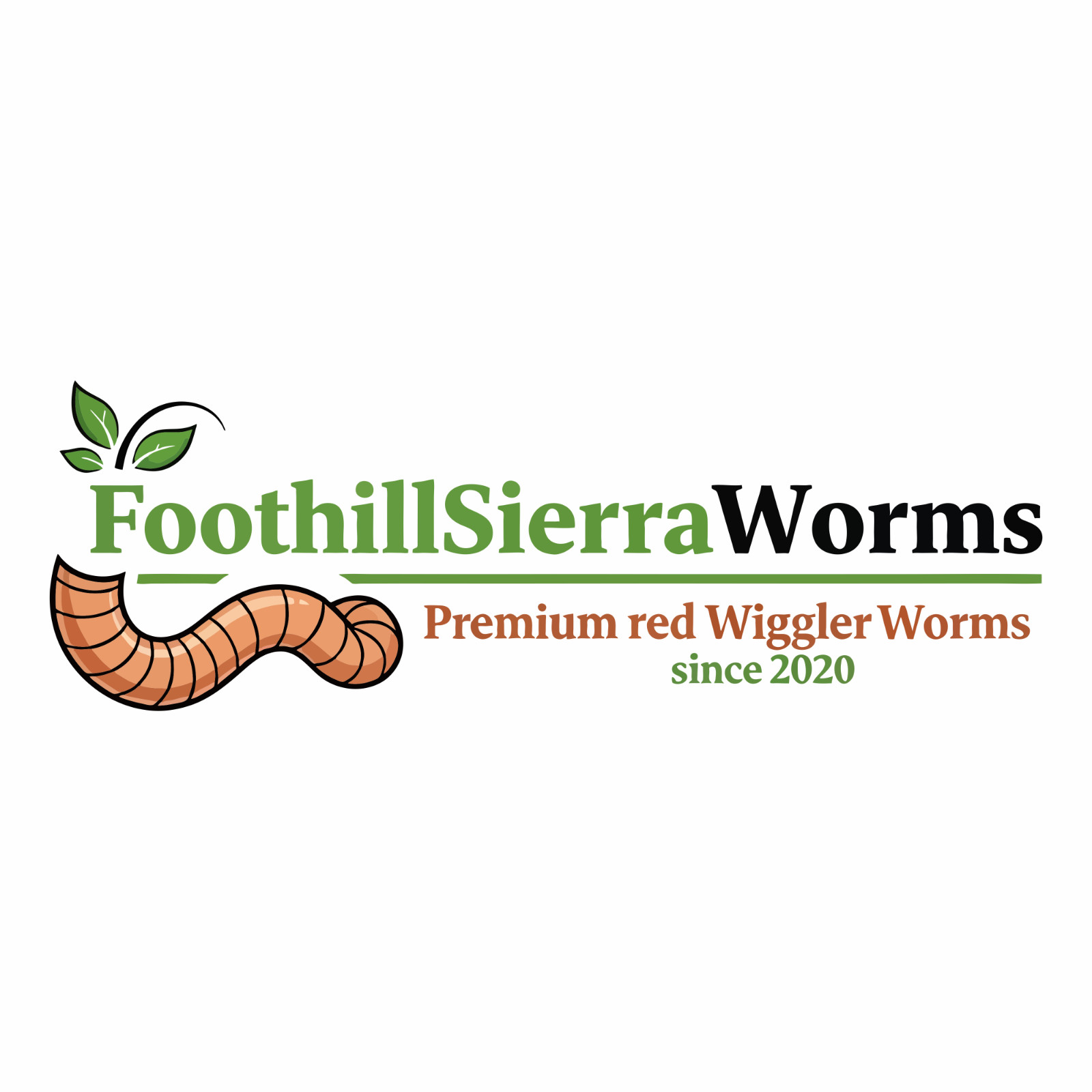 1 lb/ 1000 Ct Live Red Wiggler Composting Worms - Eisenia Fetida-live delivery
