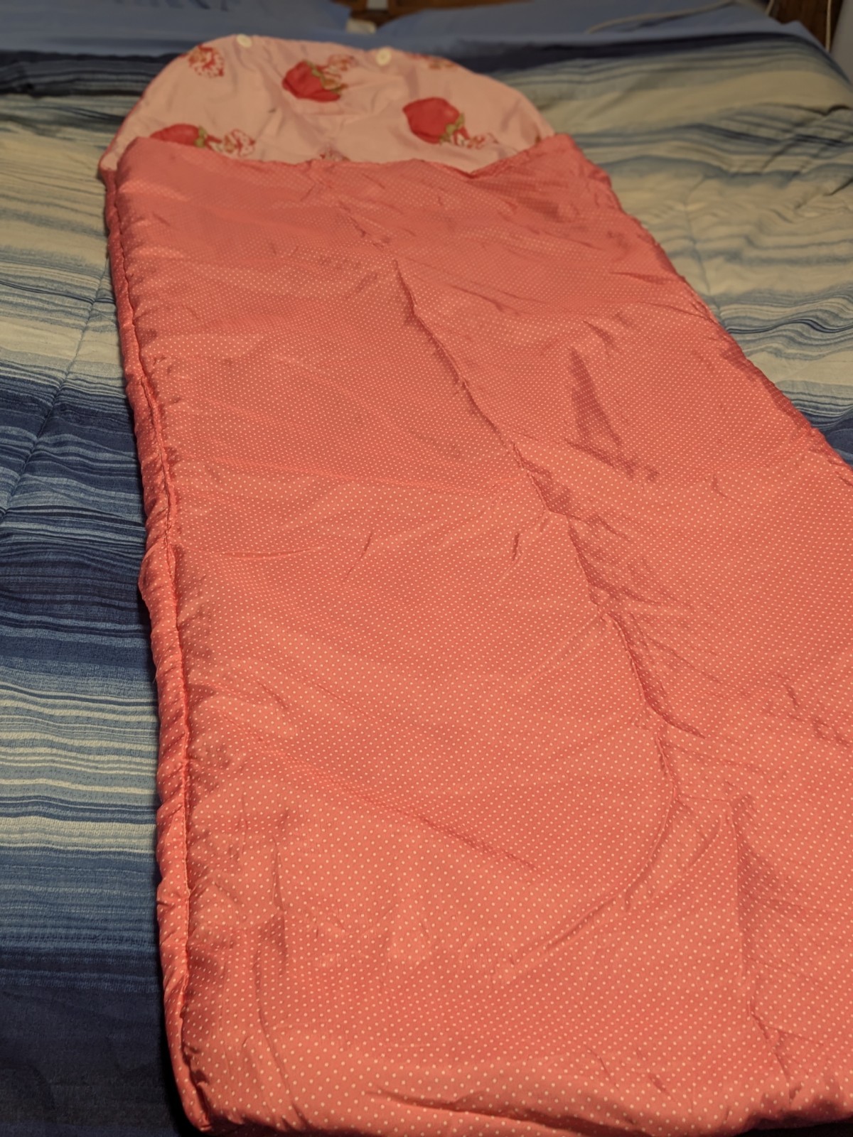 VTG Retro Strawberry Shortcake Kids Sleeping Bag/Backpack Life Is Delicious