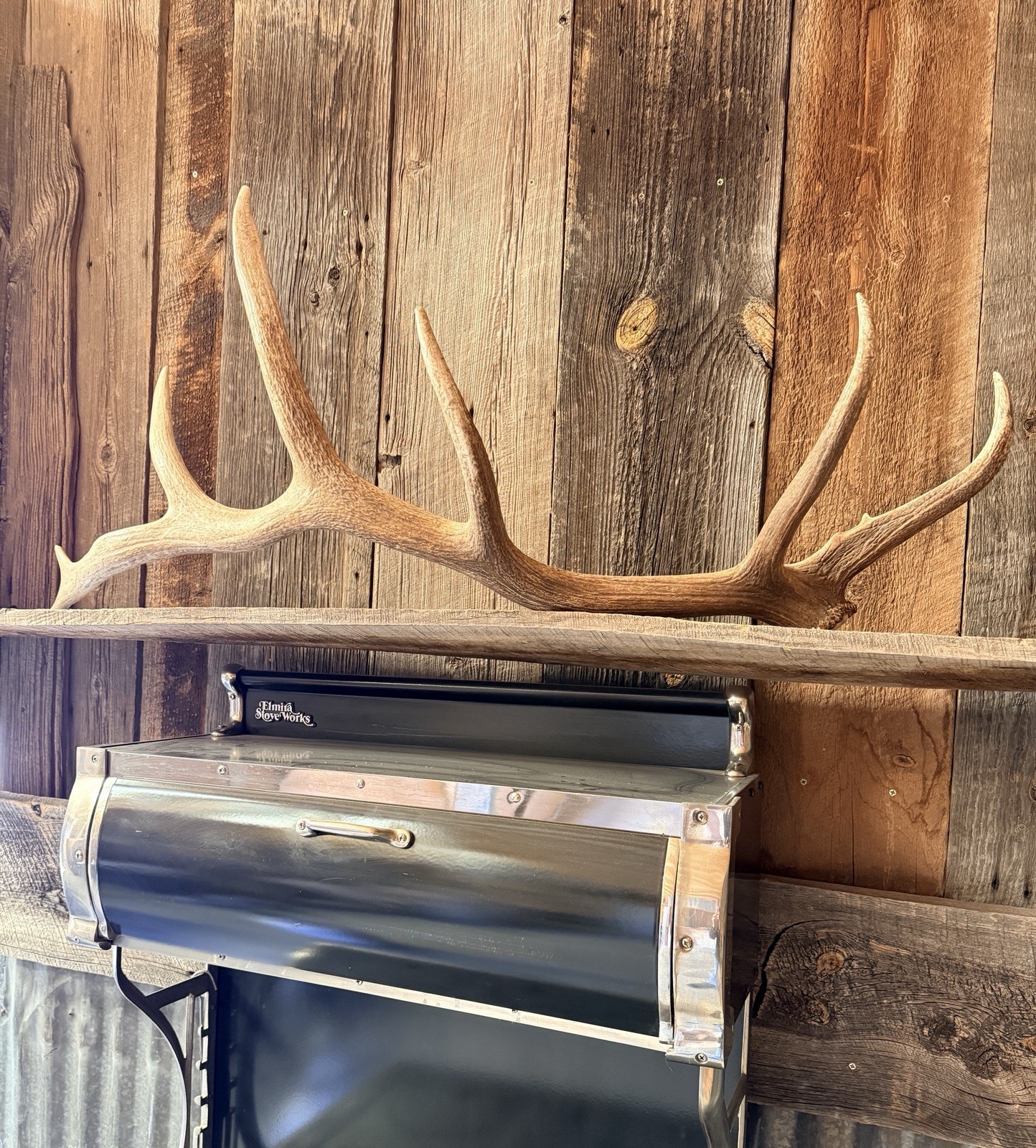 7pt Elk Shed ~ Elk Antler ~ Decor