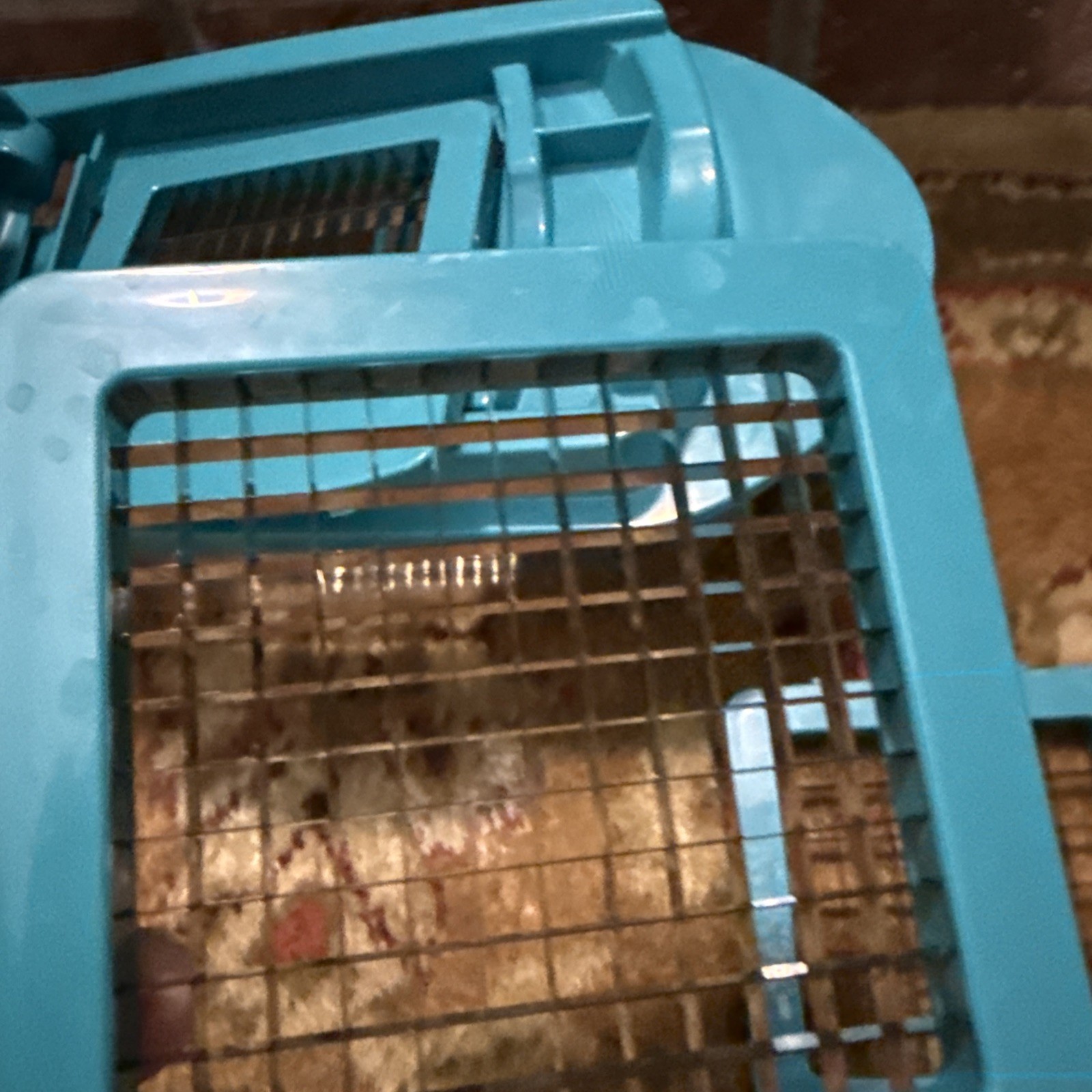 Storage Woman Chopper Set With Different Blades And Guard