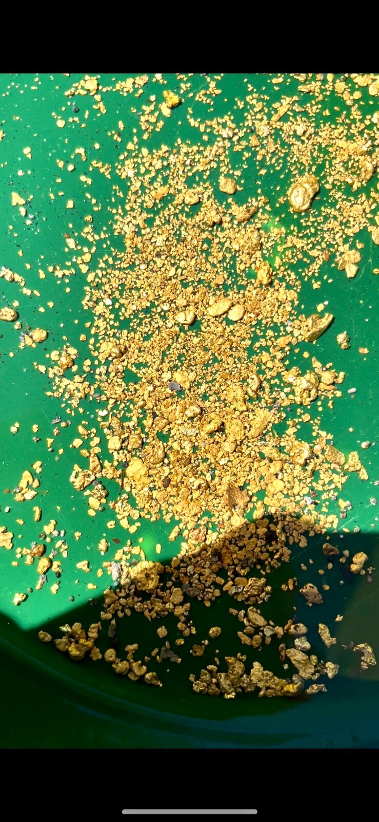 GOLD Paydirt Guaranteed Unsearched Rich with black sand + Added Gold concentrate