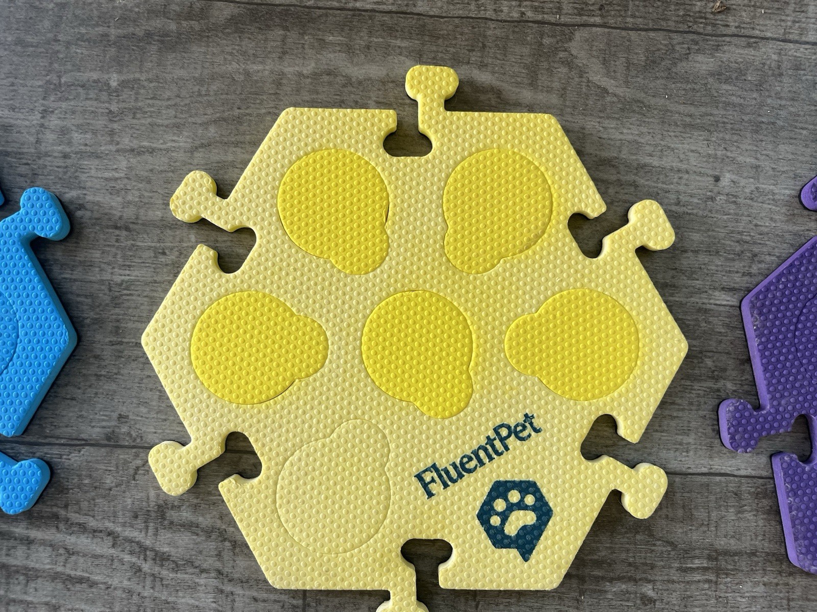 Gently Used Fluent Pet Connect Base with 6 HexTiles and 30 Connect Buttons