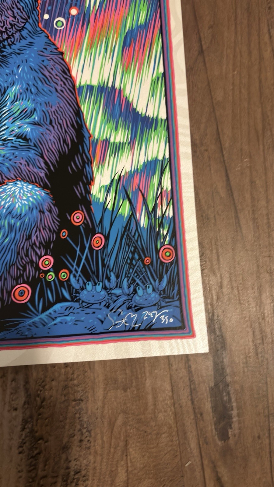 Todd slater grateful dead art print. 12x14. muir beach 1965.