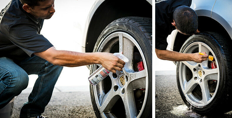 Chemical Guys SPI21516 - DeCon Pro Iron Remover (16 oz)