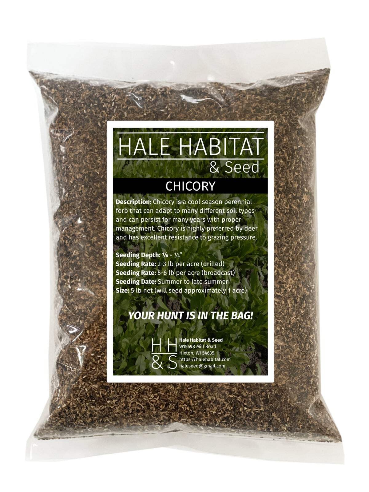 Chicory Seed | Perennial Deer Wildlife Food Plot Forage Habitat Drought Tolerant