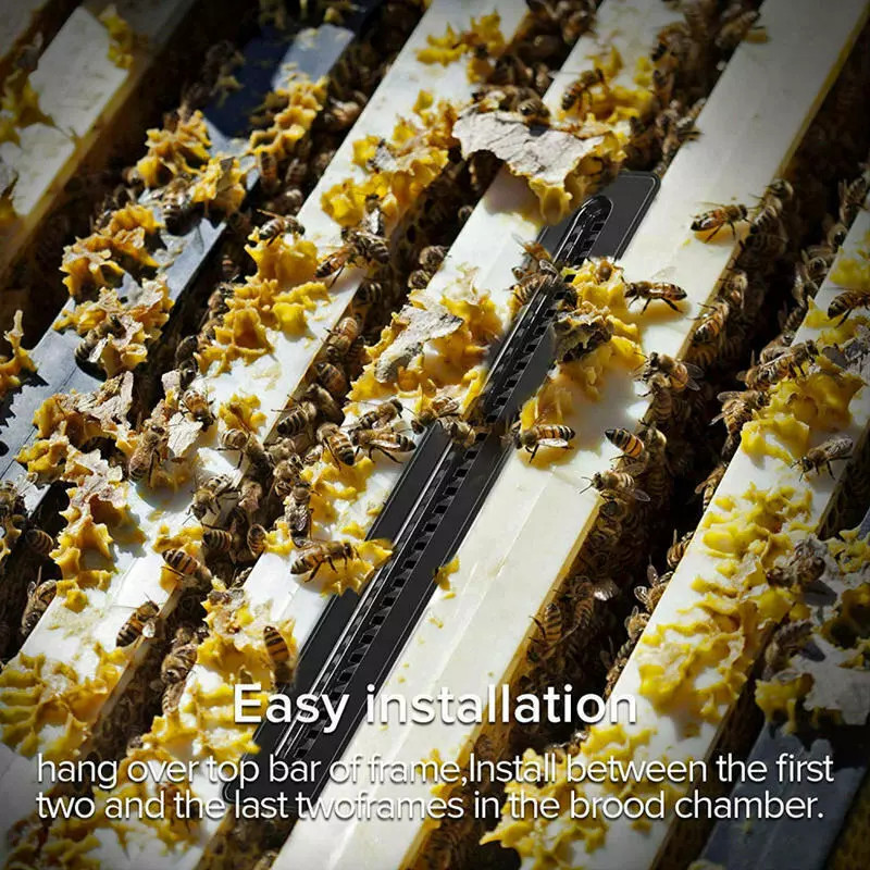 20/40/60×Hive traps Beetle Beekeeping tool For catching small beetles in beehive