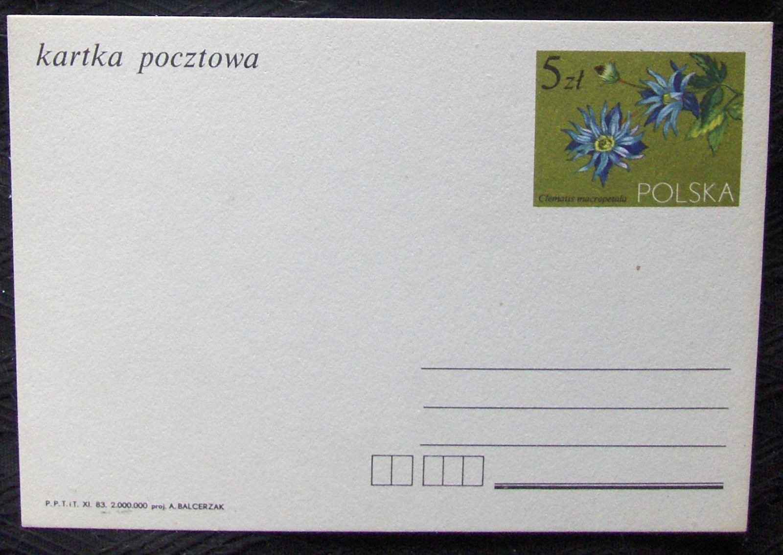 Poland postcard #857 (var.2) CLEMATIS MACROPETALA 1983.