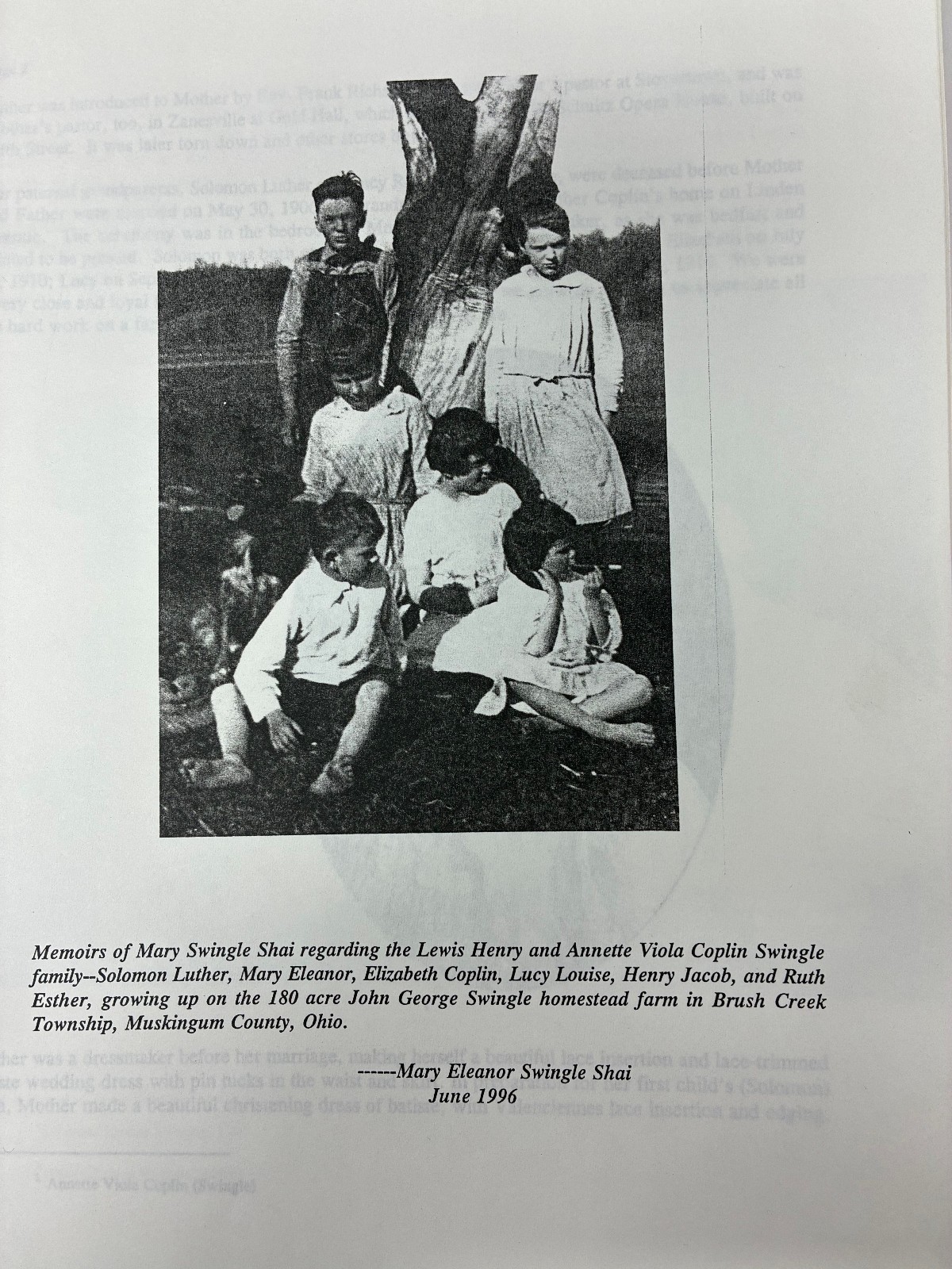 1900s Farm Family Rural Life History Muskingum County Ohio Typed Diary Memoir