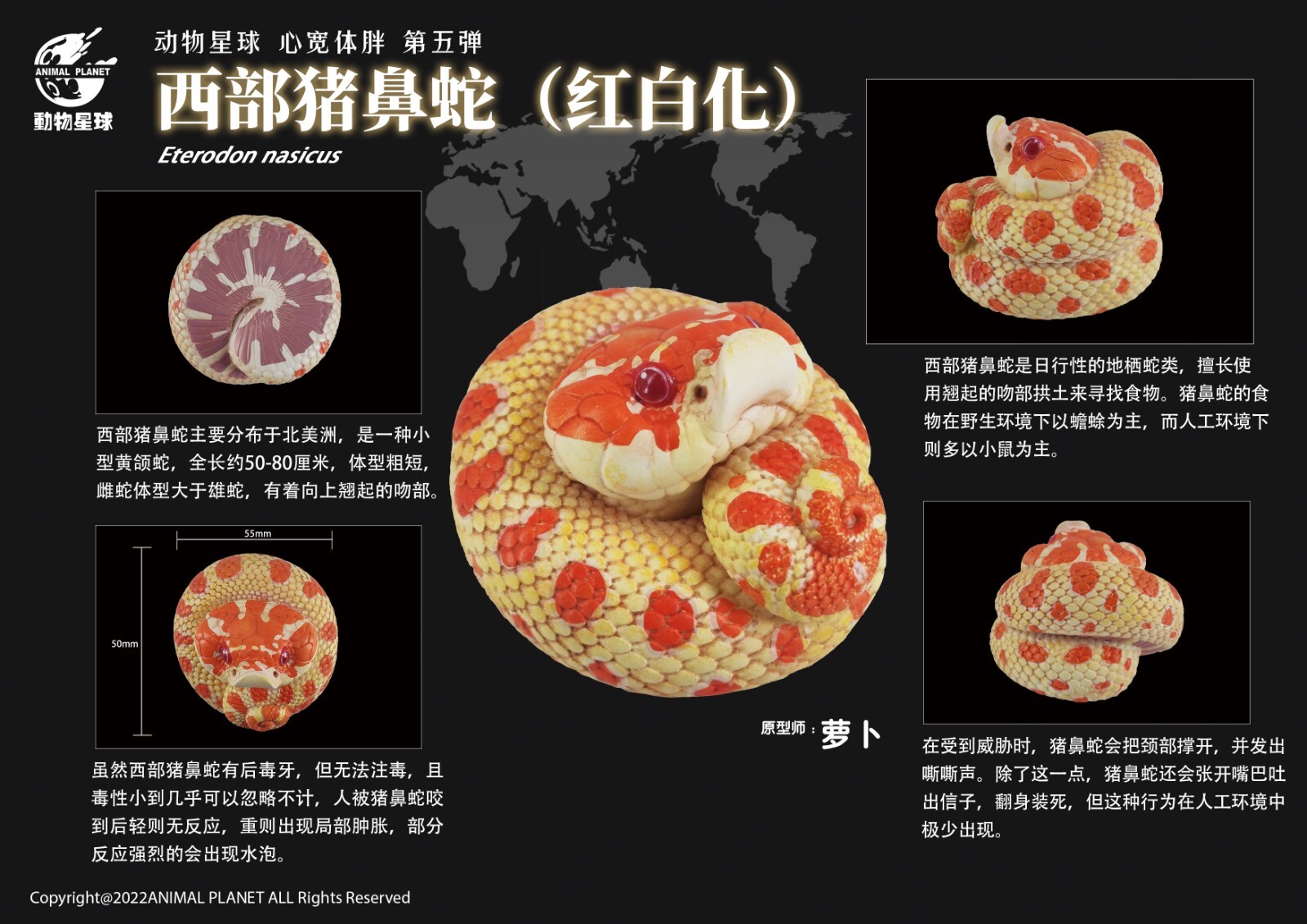 【In-Stock】 Animal Heavenly Body Extreme Red Hognose Collectible Snake Statue
