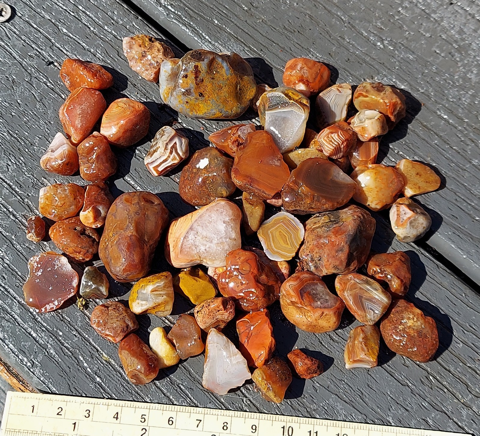 Lake Superior Agate Lot
