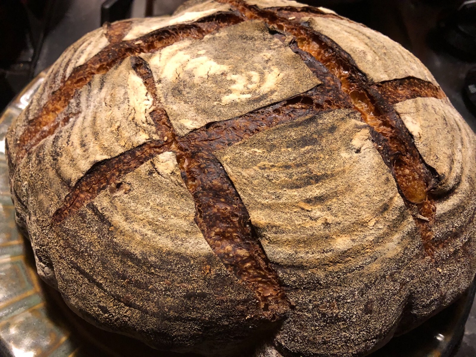 Bavarian "Black Death" Sourdough Starter YEAST 400 Year-Old History ACTIVE SOUR