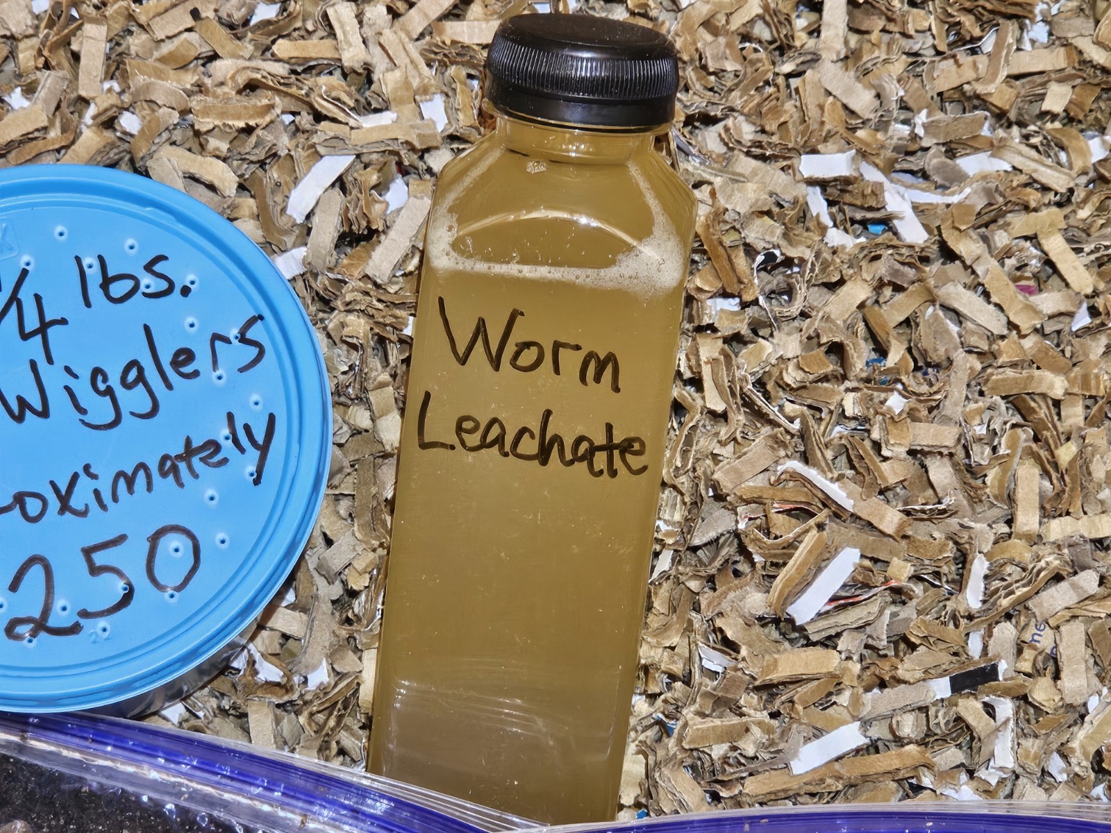 🪱1/2 lbs. Red Wiggler Worm Farm Starter Kit🪱 (Worms/Food/Bedding/Inoculant)