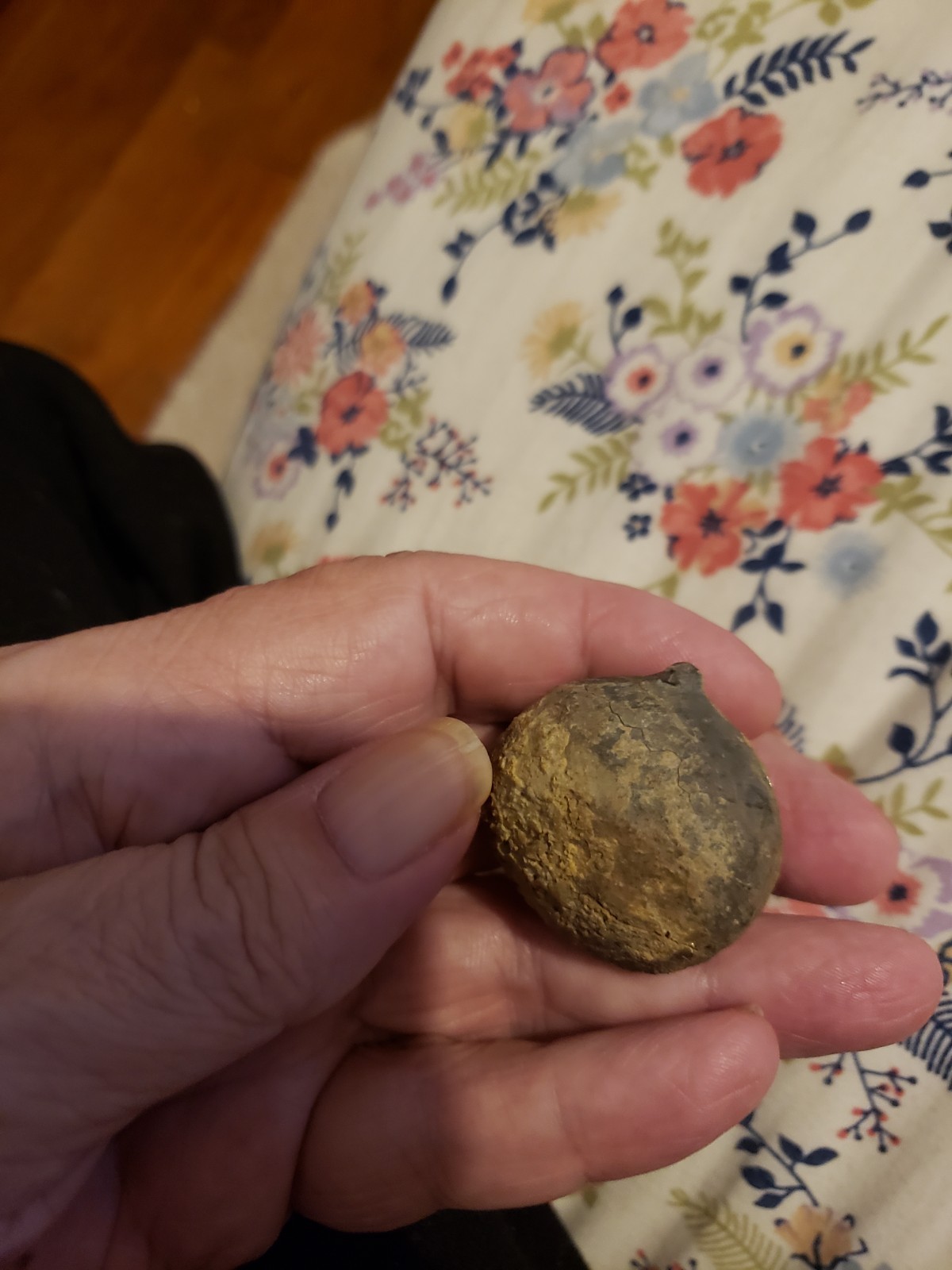 RARE.ANAL PYRAMID Cystoid Echinosphaerites Fossil Crinoid Trilobite RARE FOSSIL