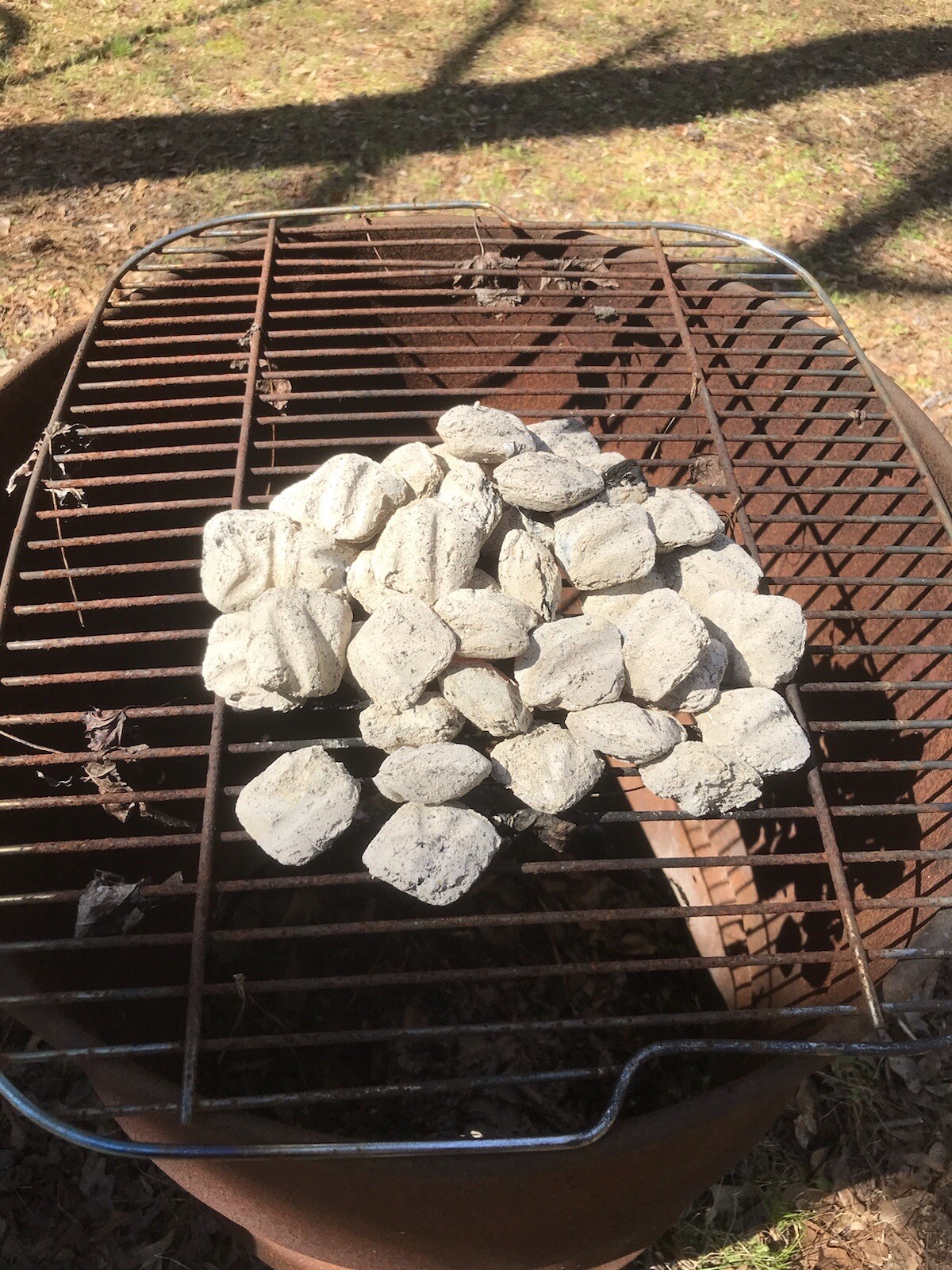 10 lbs Georgia ”FATWOOD FUEL” Kindling Firewood Lighter Ocote Chez JonesTHE BEST