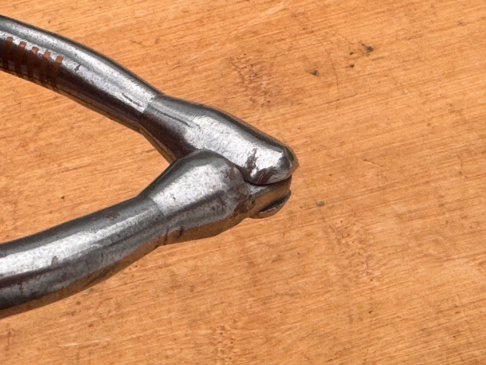 GREG DARNALL Hinged Mouth Loomis Shank Western Bit ~ 5" ~ Never Used