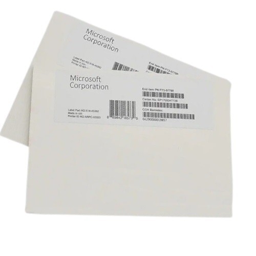 Microsoft Project 2024 Professional Factory Retail for 1-User