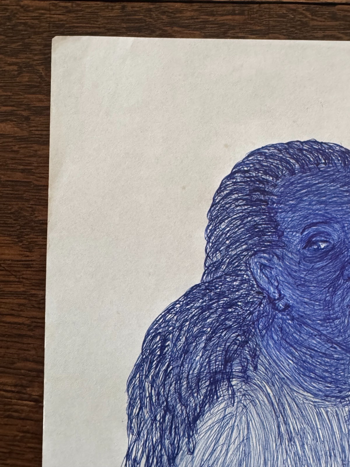 Original Young African-American Woman Blue Ballpoint Pen Portrait Drawing 9"x12"