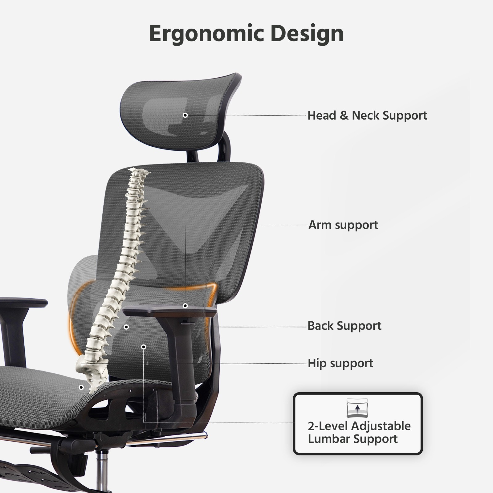 Deluxe Mesh Ergonomic Office Chair with Adjustable Lumbar Support - New Open Box
