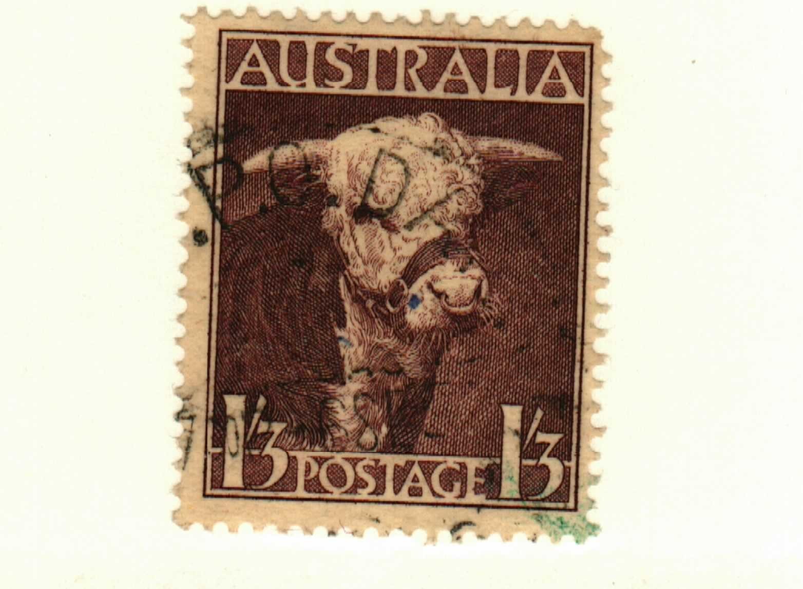 Australia #211 used Herford Bull cow