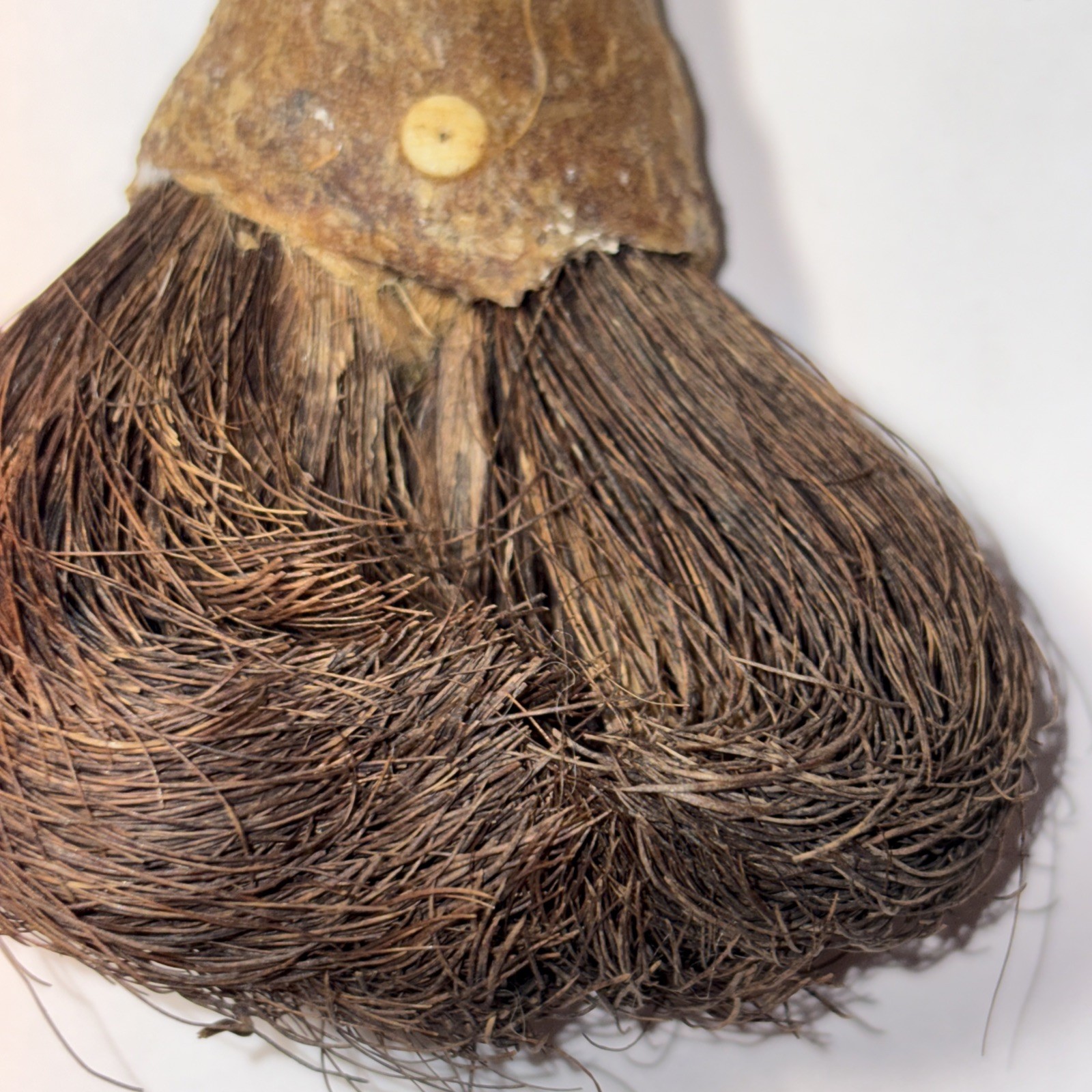 CHUKCHANSI OR MIWOK NATIVE AMERICAN SOAPROOT BRUSH 4”