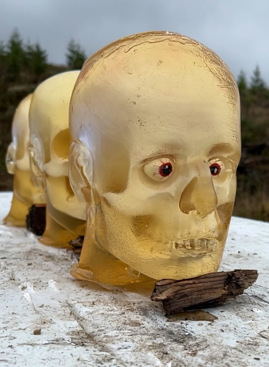 Fully Loaded Ballistic Gel Head (Skull,Brain,Eyes,Blood)- Go Ballistic NW