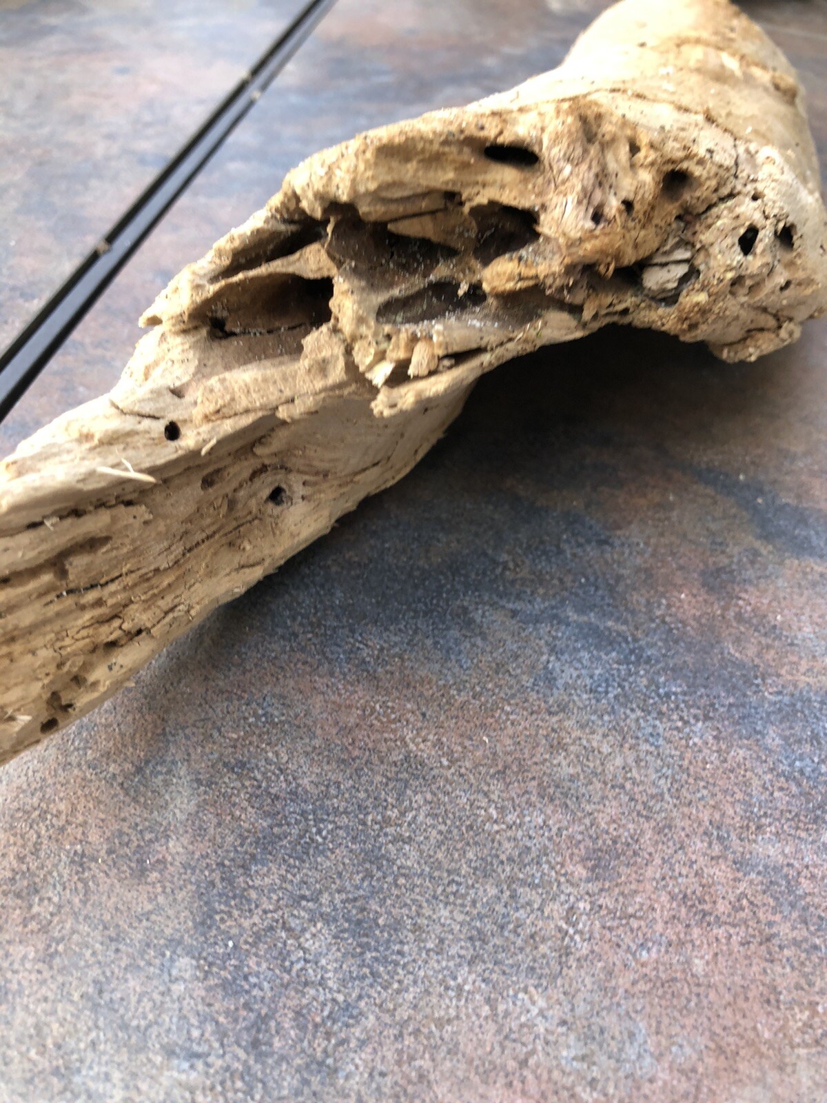 Natural Driftwood for Plants Terrarium Taxidermy Art Projects