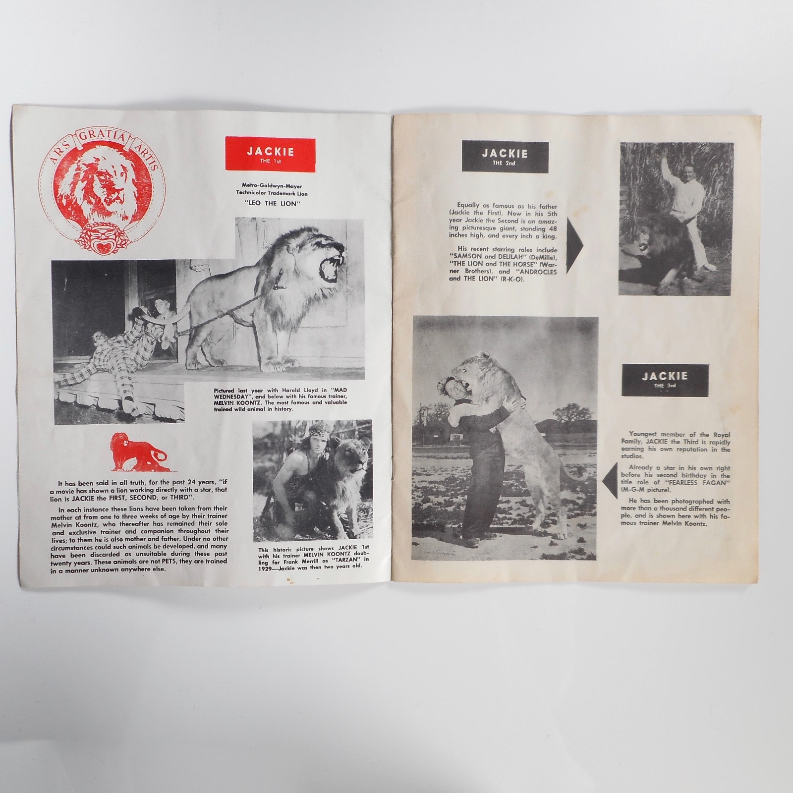 VTG 1953 Jungle Land World Compound Program Mabel Stark CA MGM Circus Lions RARE