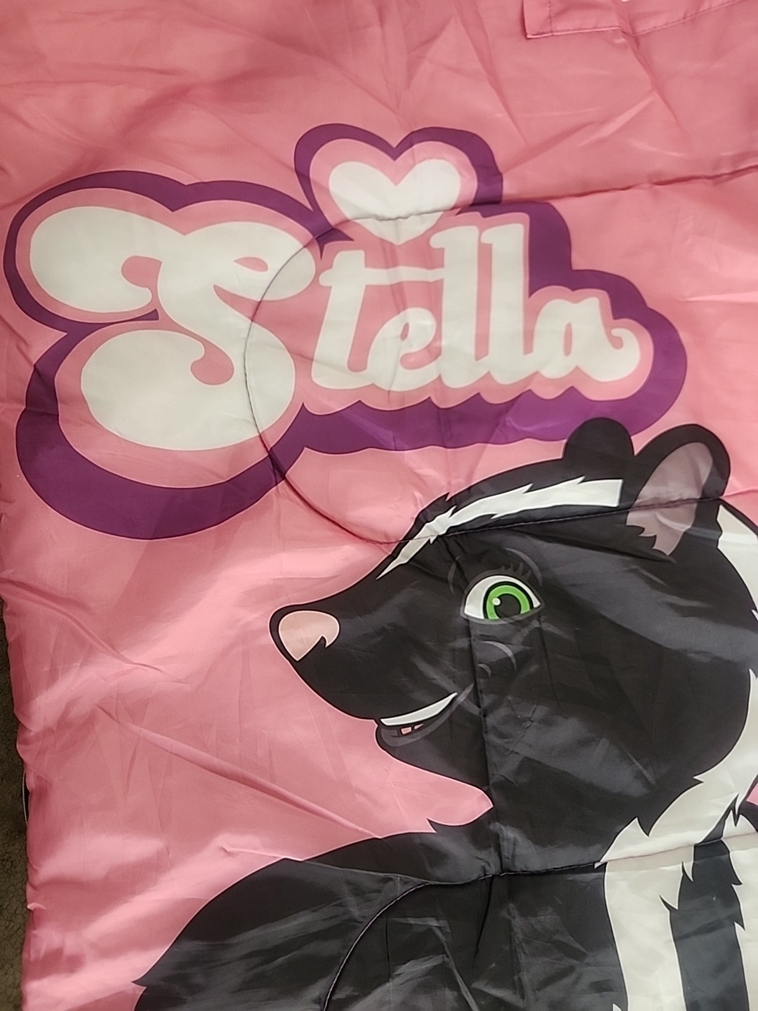 Vtg Coleman OVER THE HEDGE Stella Girls Pink Sleeping Bag SKUNK Bette Midler