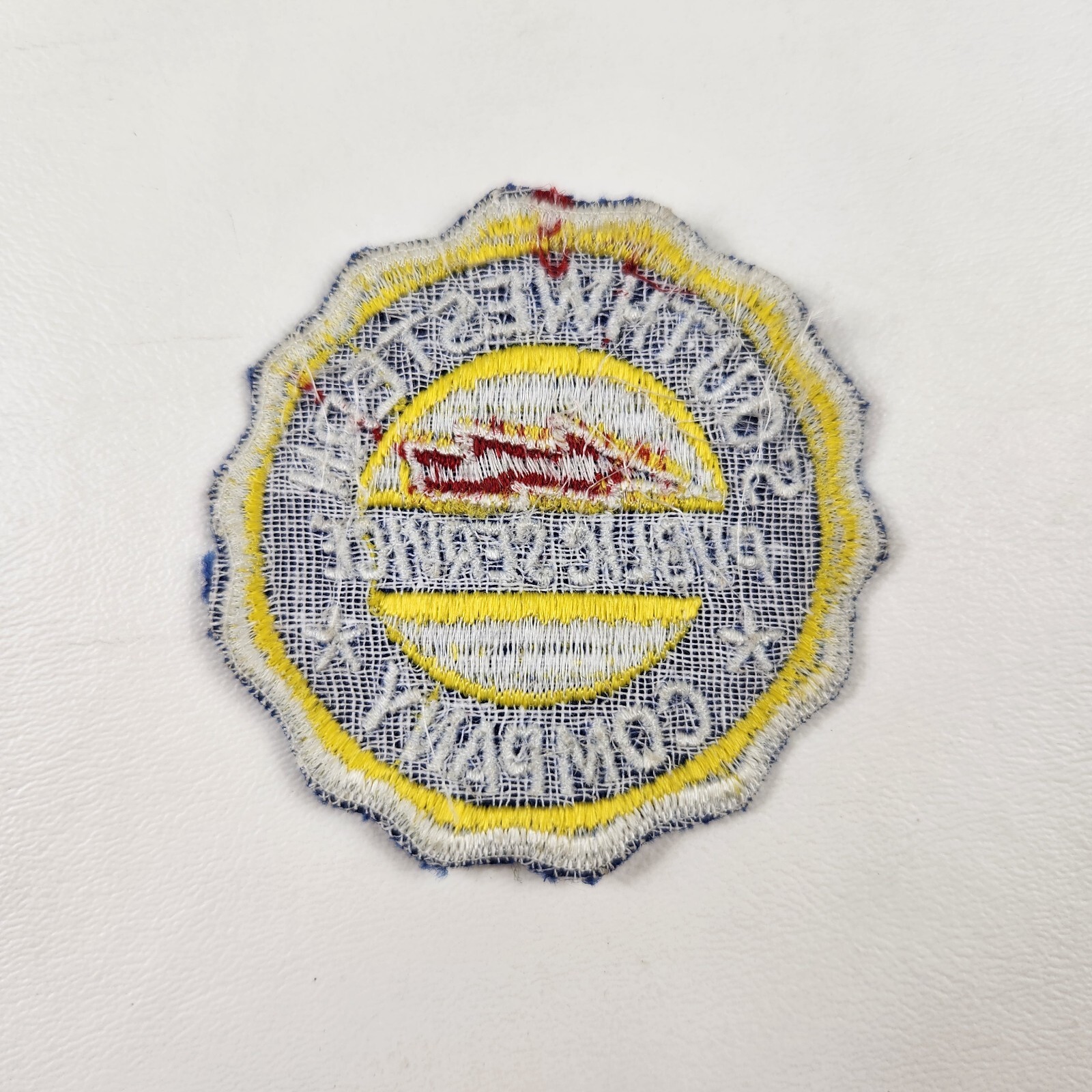 Southwestern Public Service Company Logo Patch Electric New Mexico Texas Vintage
