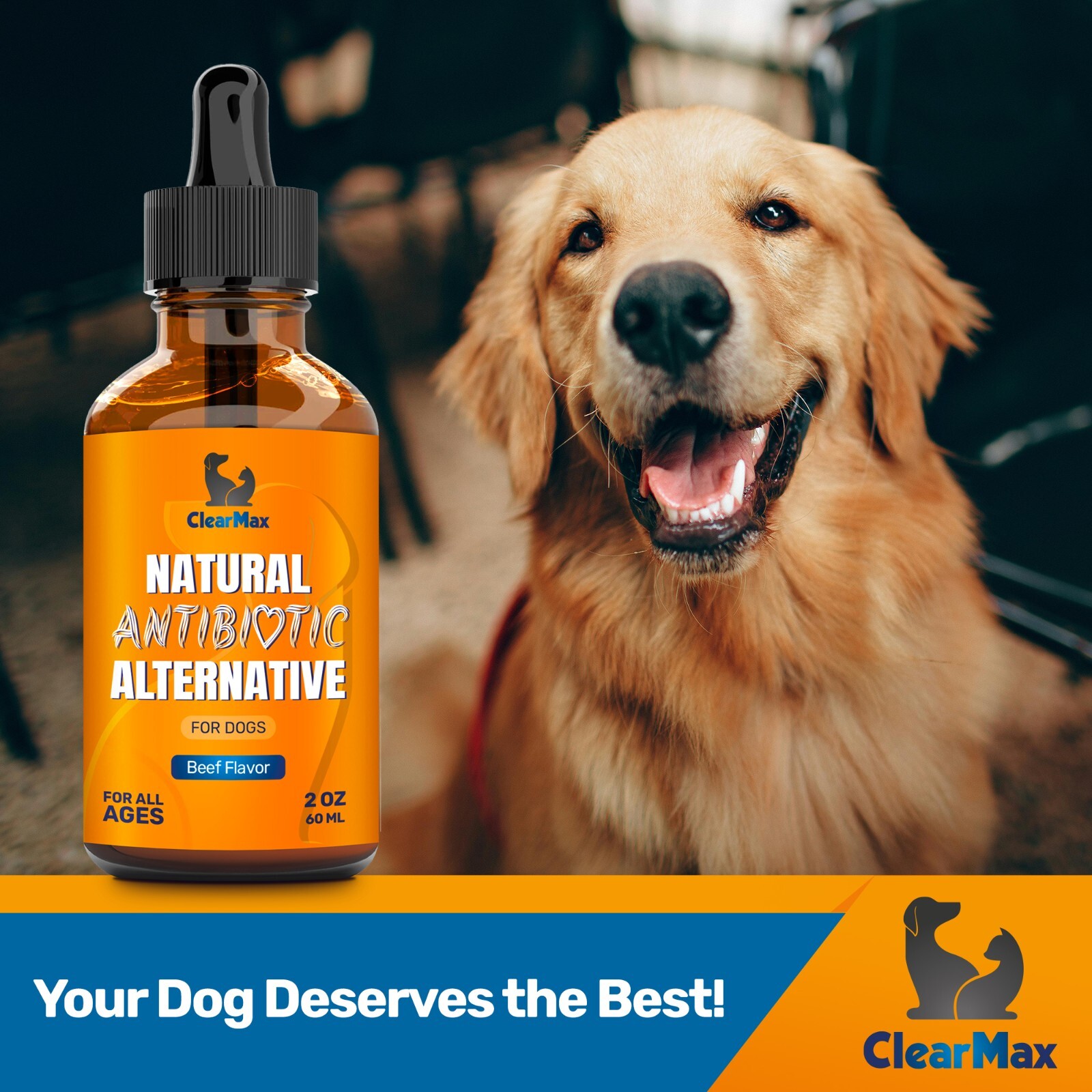 Natural Antibiotics for Dogs | Allergy & Infection Relief | Beef Flavor | 2 Oz